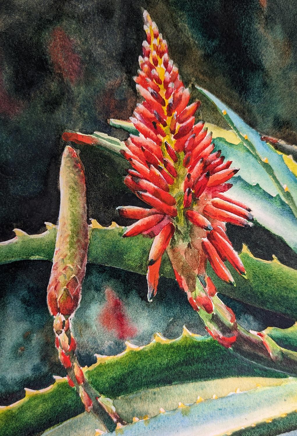 Blooming Succulents, Originalgemälde (Schwarz), Still-Life, von Jinny Tomozy