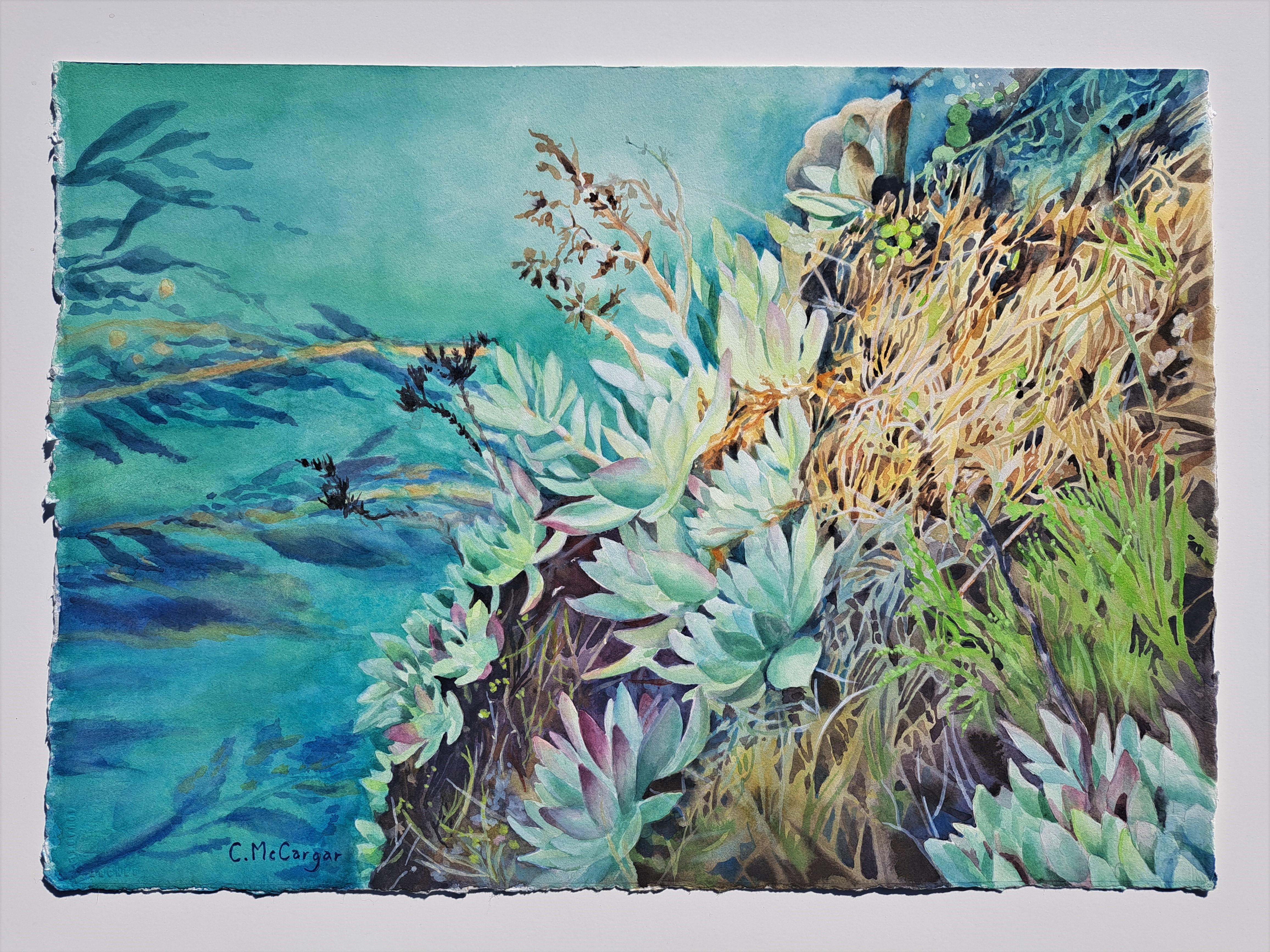 Point Lobos Succulents, Originalgemälde (Amerikanischer Realismus), Art, von Catherine McCargar