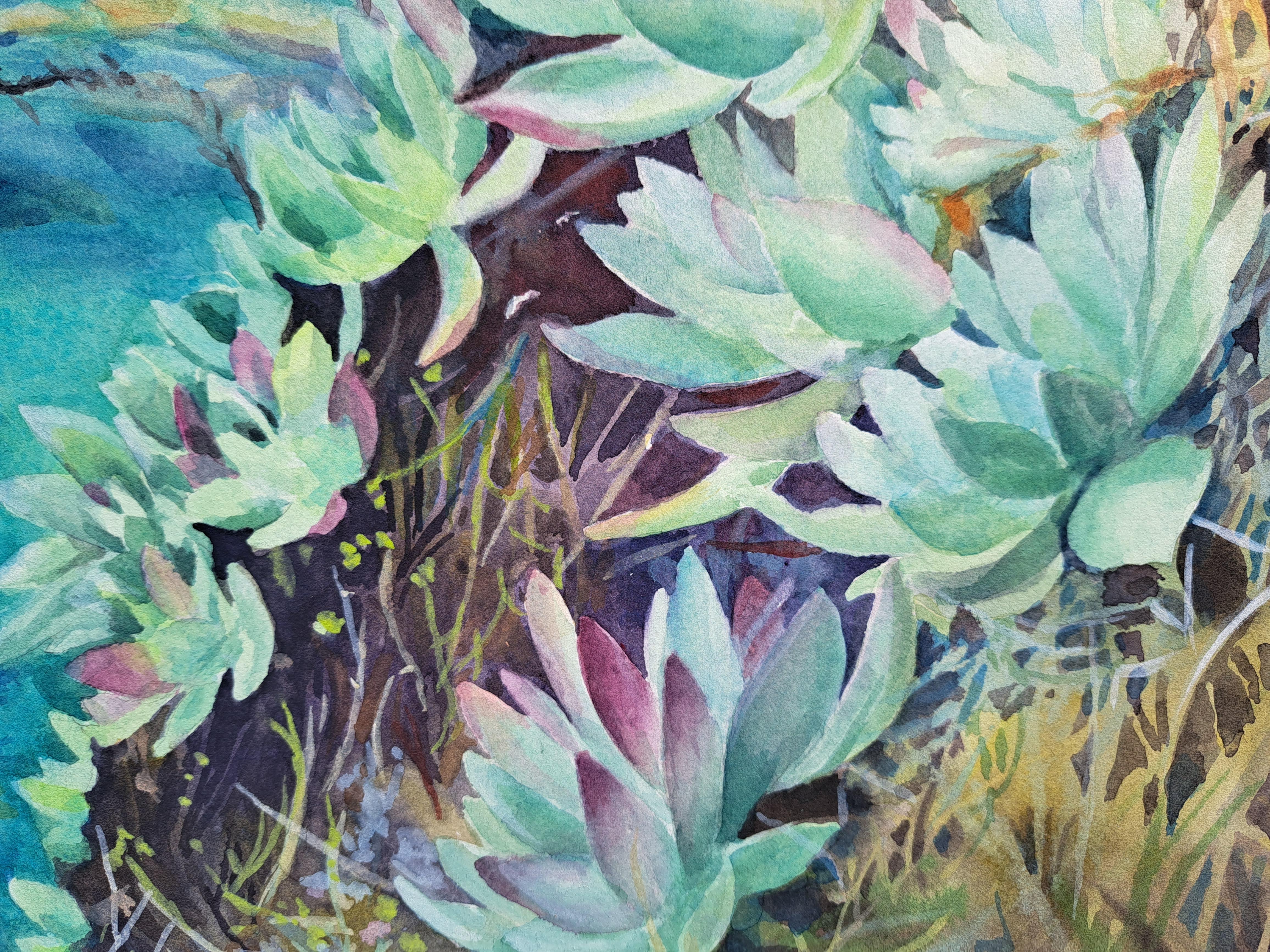Point Lobos Succulents, Original Painting - American Realist Art by Catherine McCargar
