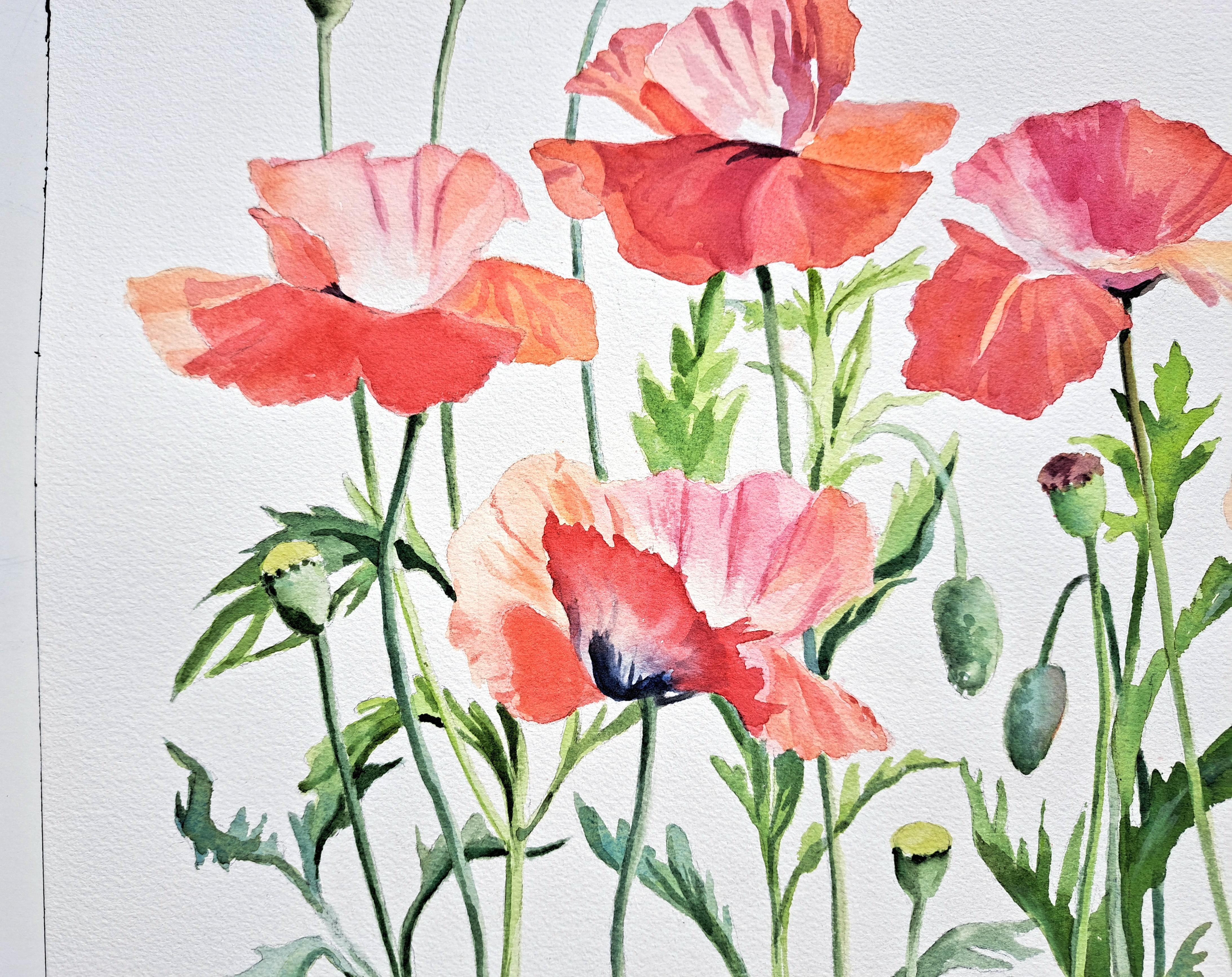 Poppies Aflutter, Original Painting - Impressionist Art by Catherine McCargar
