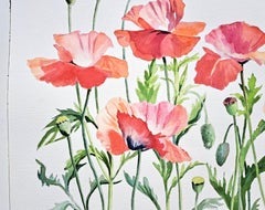Poppies Aflutter, Original Painting