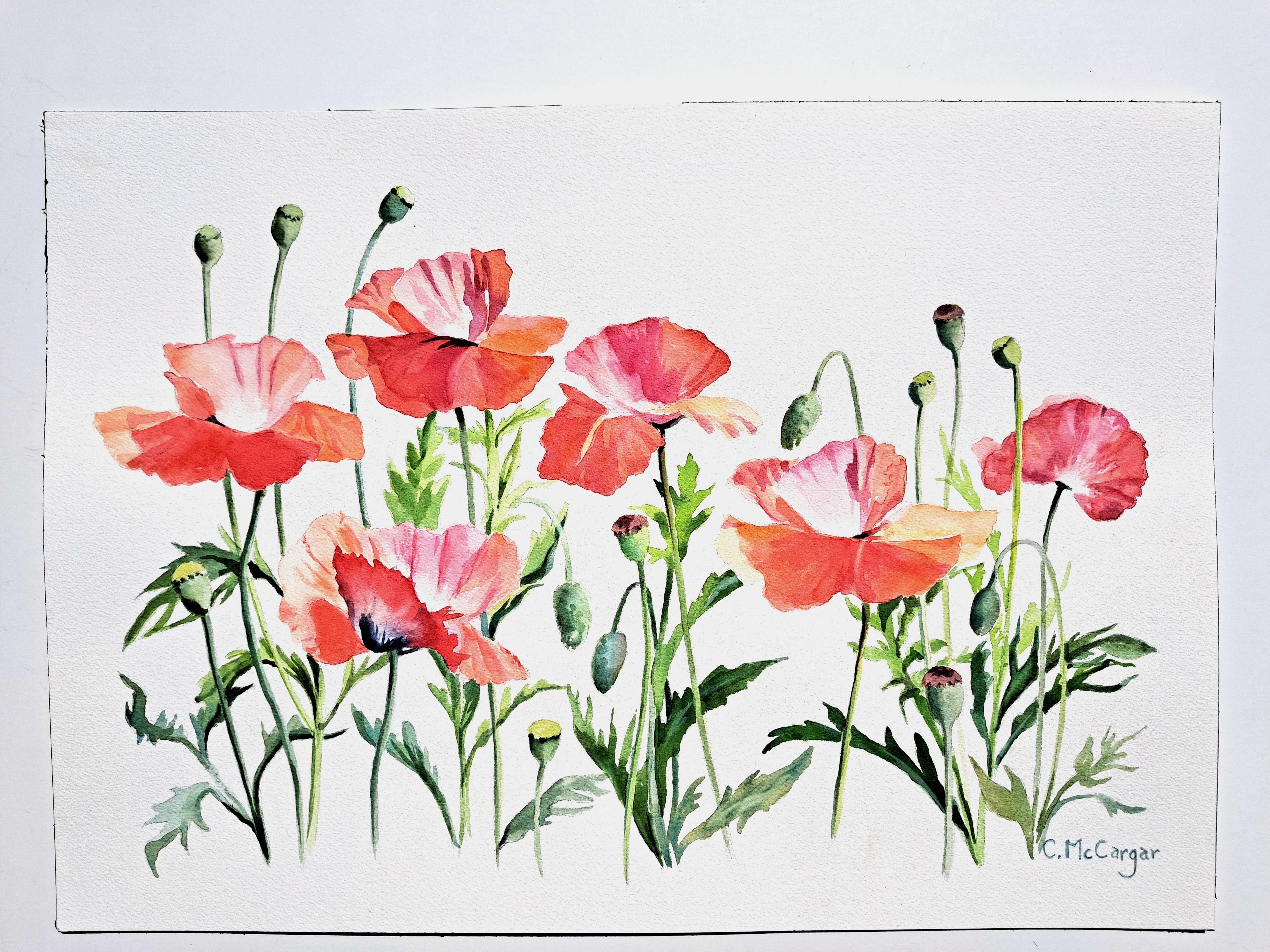 <p>Artist Comments<br>Artist Catherine McCargar illustrates alluring red flowers in a background of white. She captures the delicacy and transparency of gorgeous poppies she noticed in a local public garden. She creates a somewhat stylized