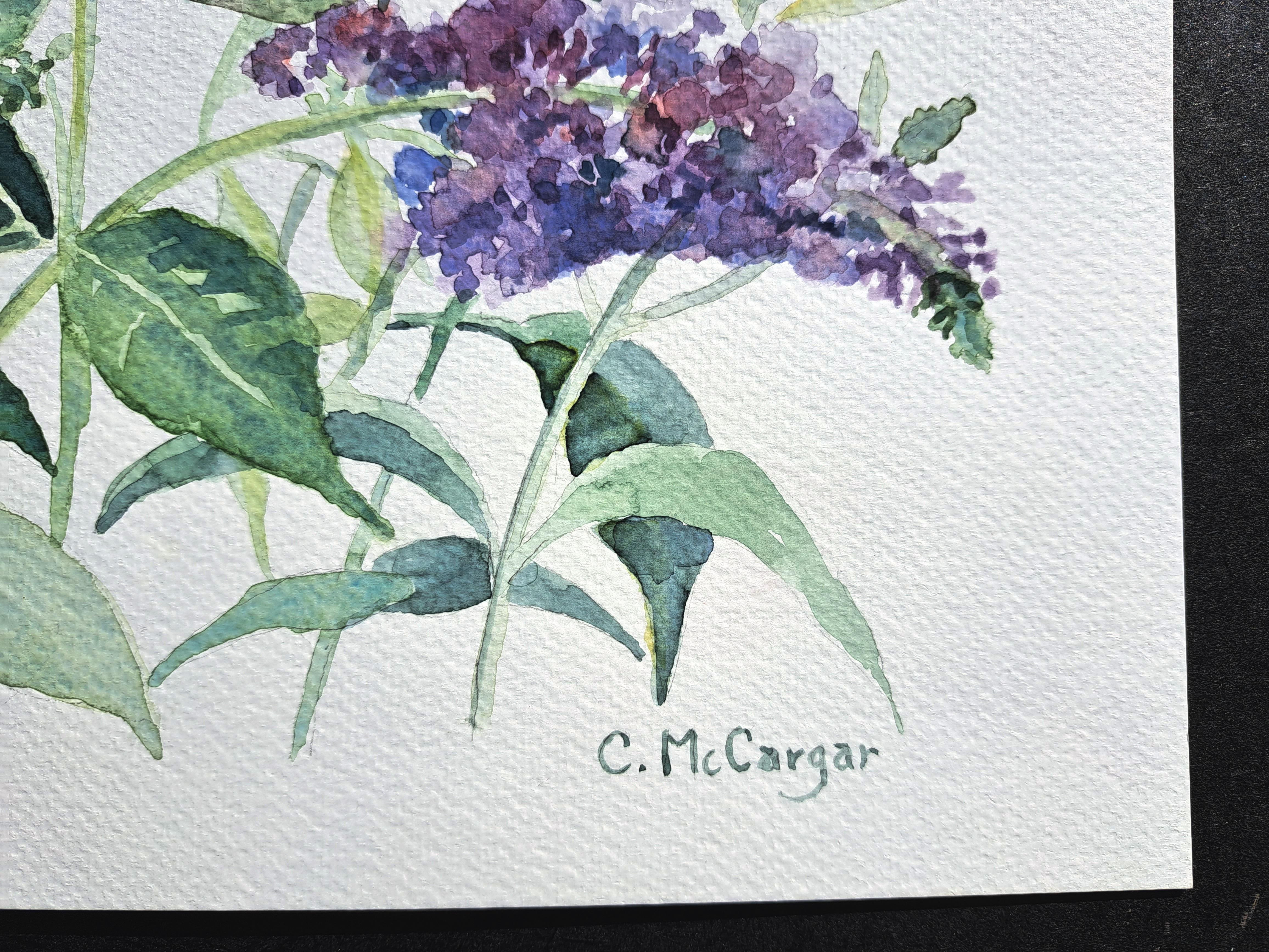 Buddleia Blooms, Original Painting - Impressionist Art by Catherine McCargar