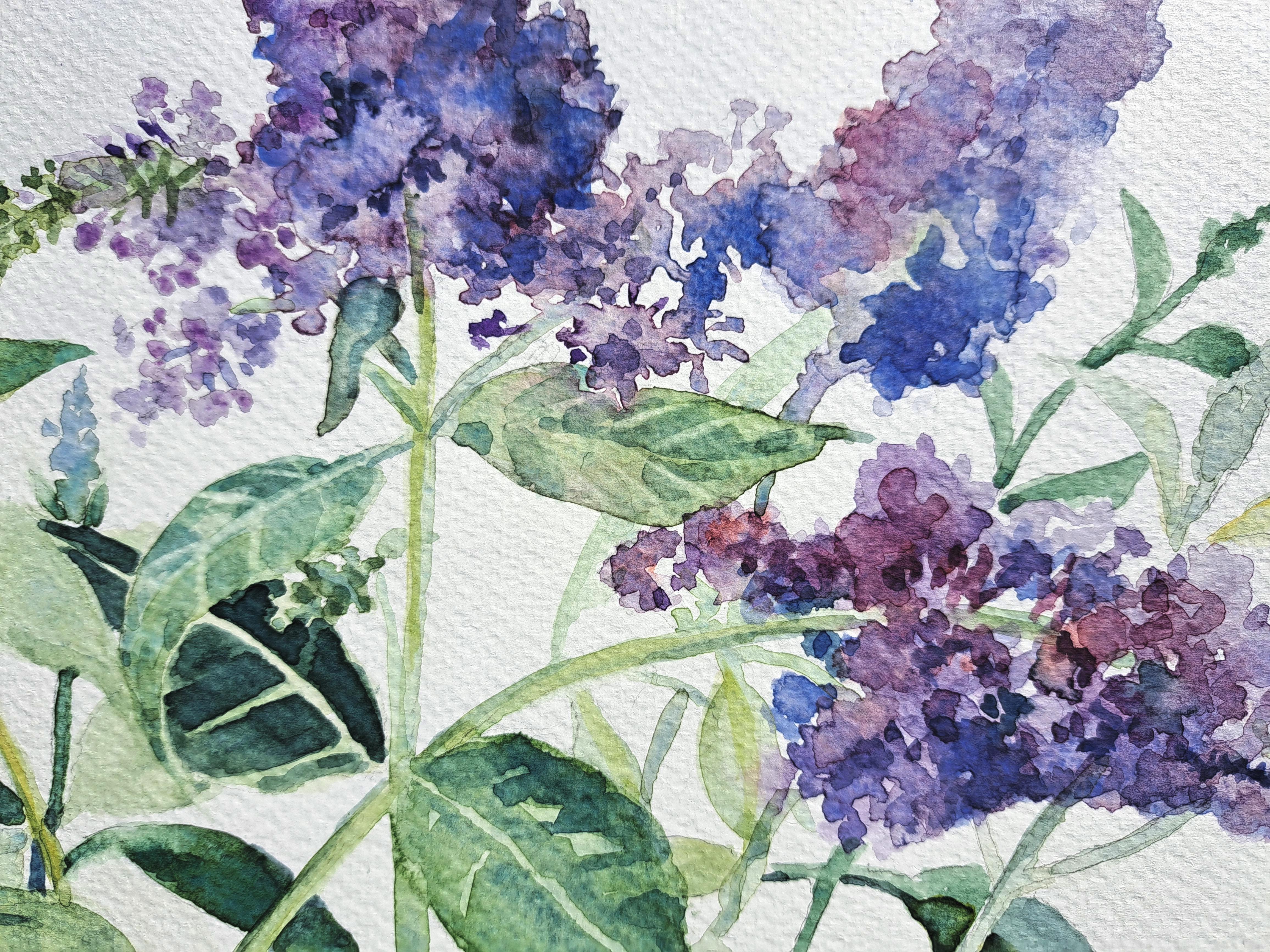 Buddleia Blooms, Original Painting For Sale 1