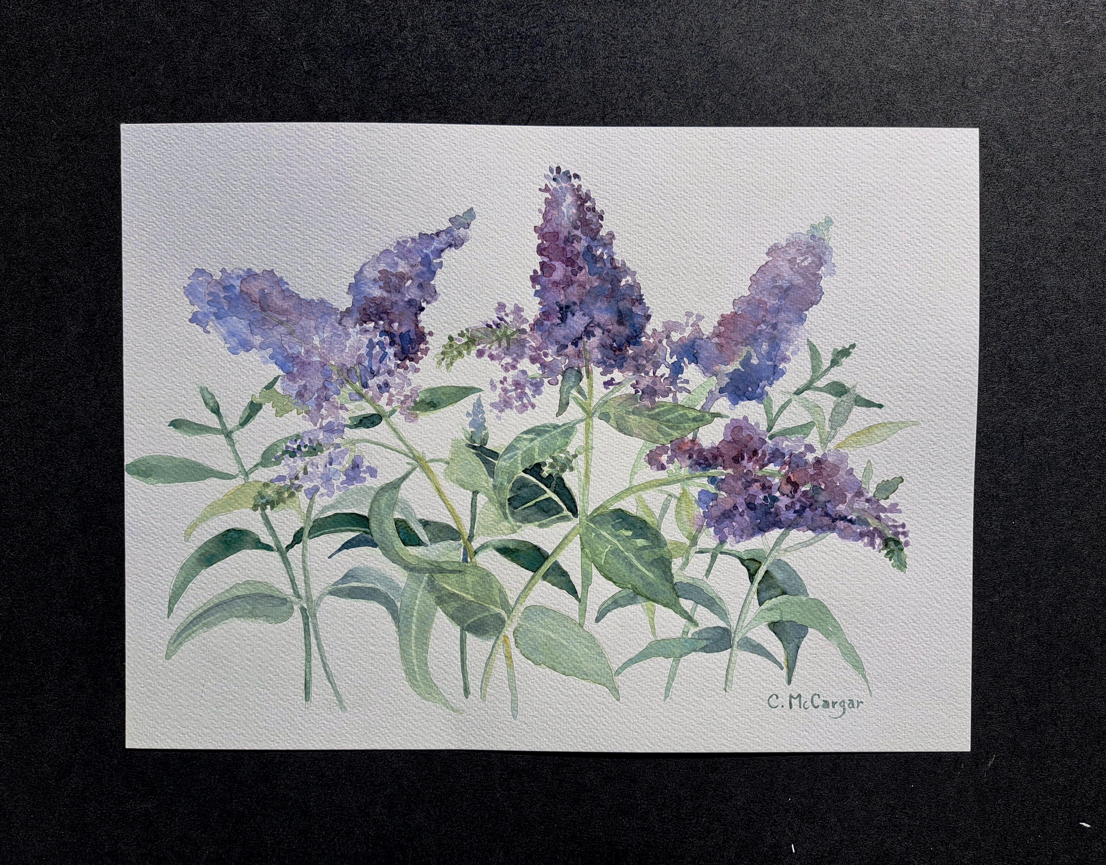 <p>Commentaires de l'artiste<br>L'artiste Catherine McCargar peint des fleurs d'un violet éclatant, fraîchement coupées de sa pelouse. 