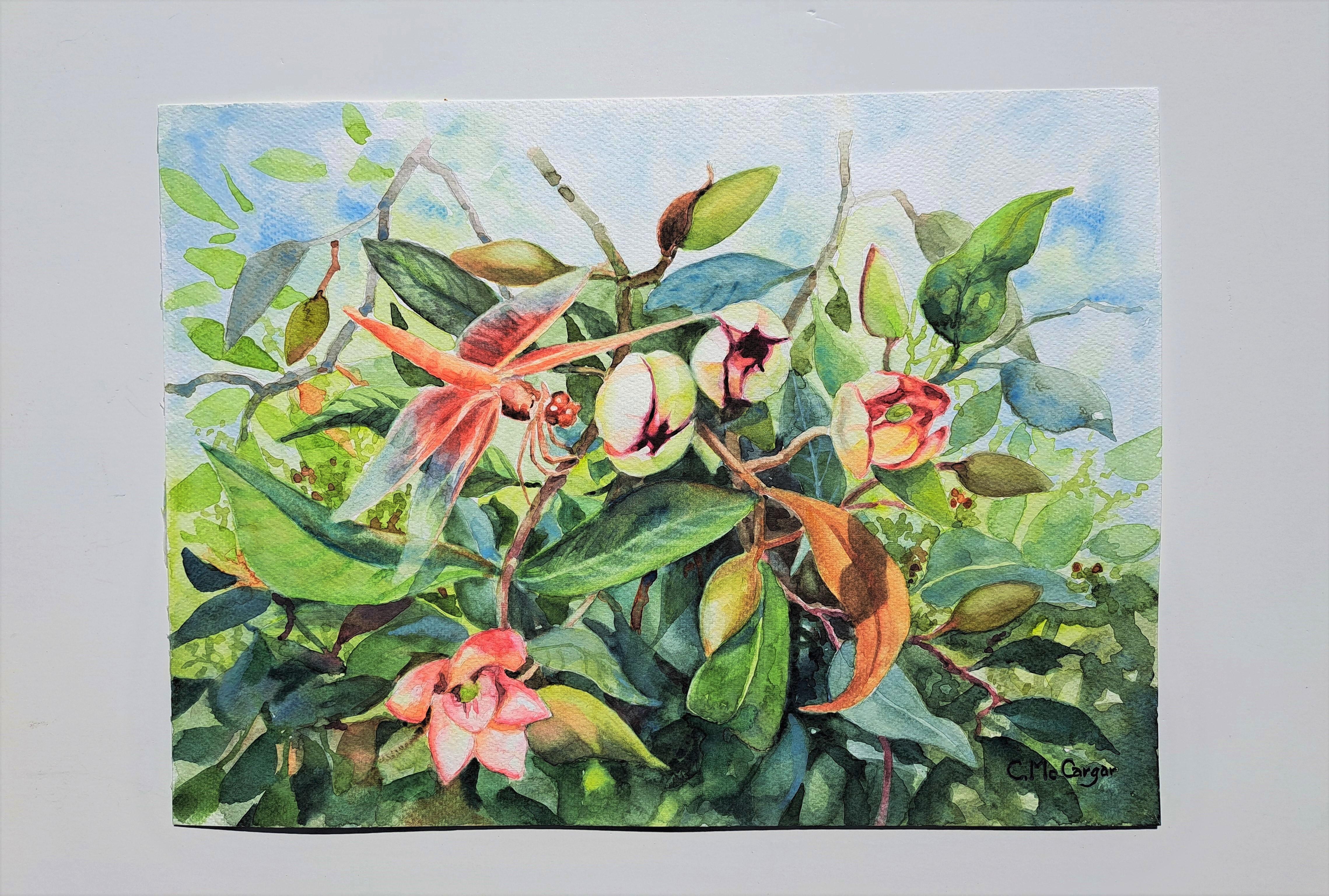Schmetterling und Port-Wein- Magnolien, Originalgemälde (Impressionismus), Art, von Catherine McCargar
