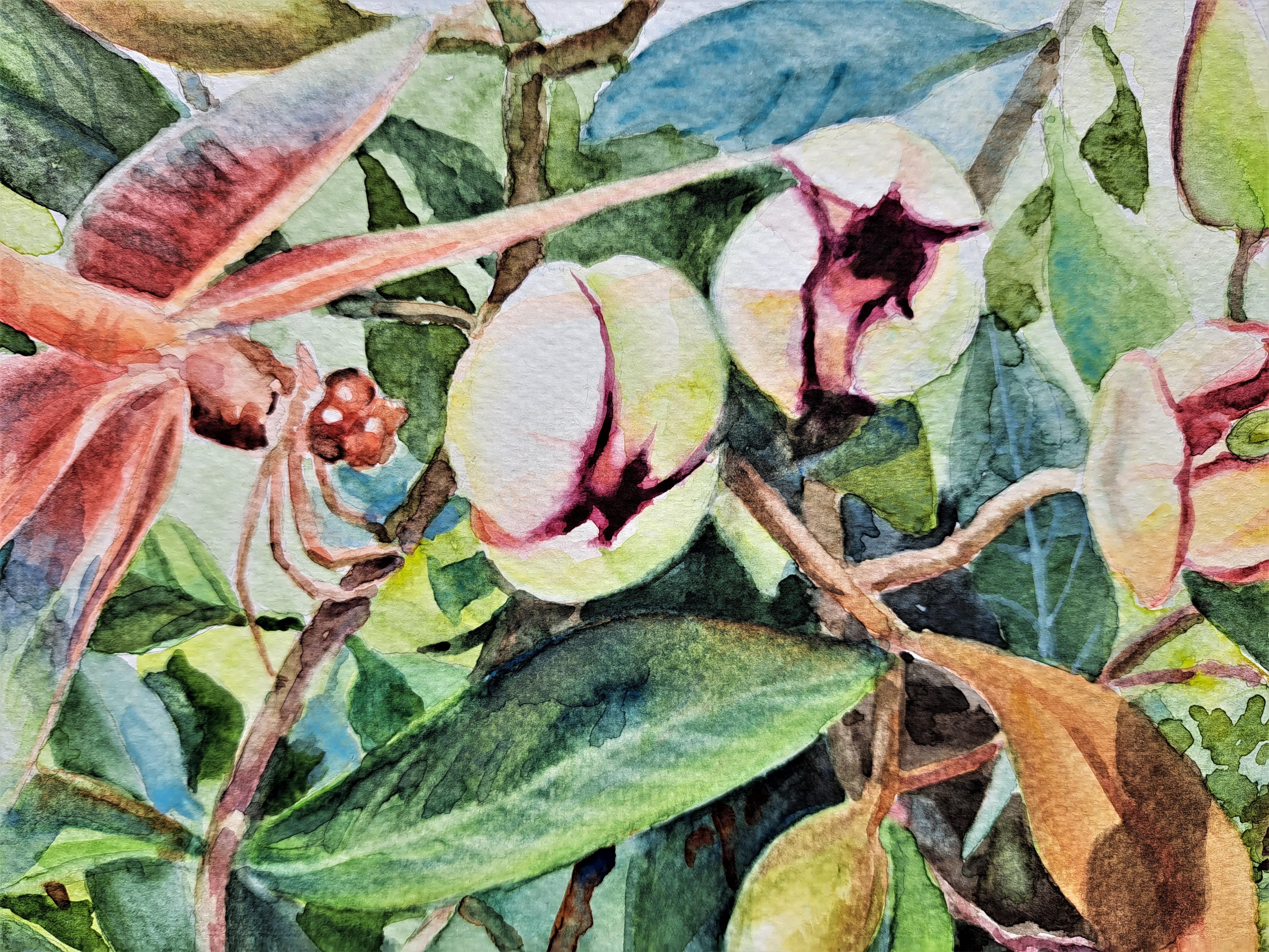 <p>Artist Comments<br>Artist Catherine McCargar displays a scarlet dragonfly landing on the branch of a magnolia bush. She captures the fleeting moment as it sips nectar from the flower. Its red wings match the fully bloomed magnolia, fittingly