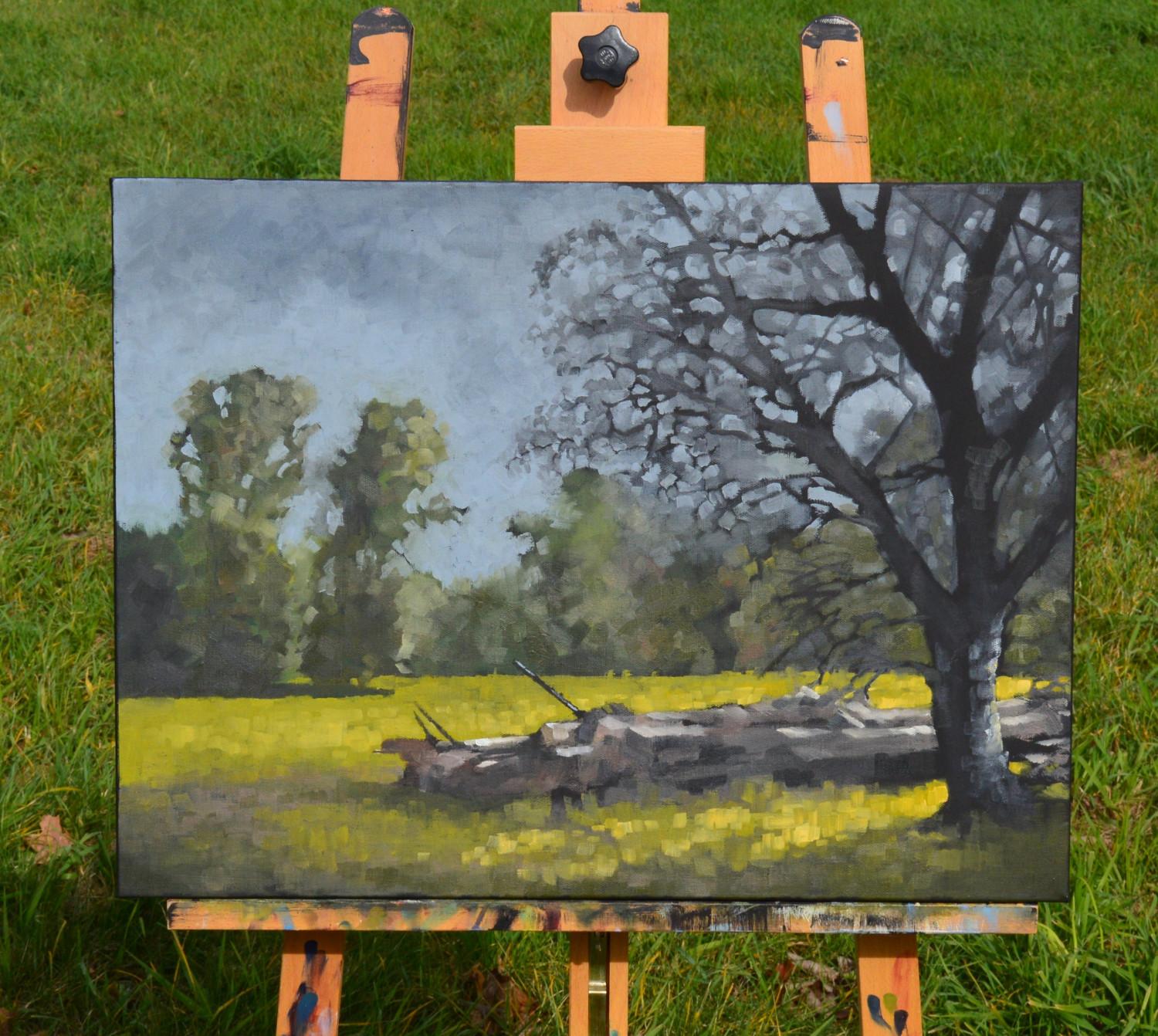 <p>Artist Comments<br />Artist David Thelen captures a timber laying on the green meadow. 