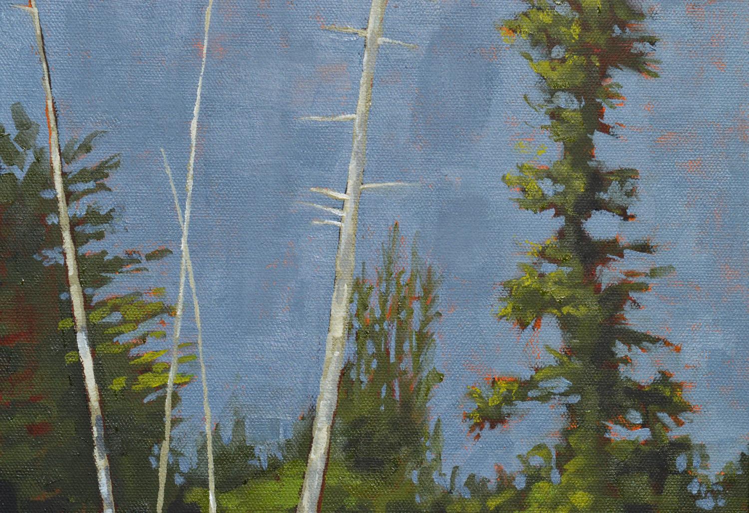 Adirondack, peinture à l'huile - Gris Landscape Painting par David Thelen