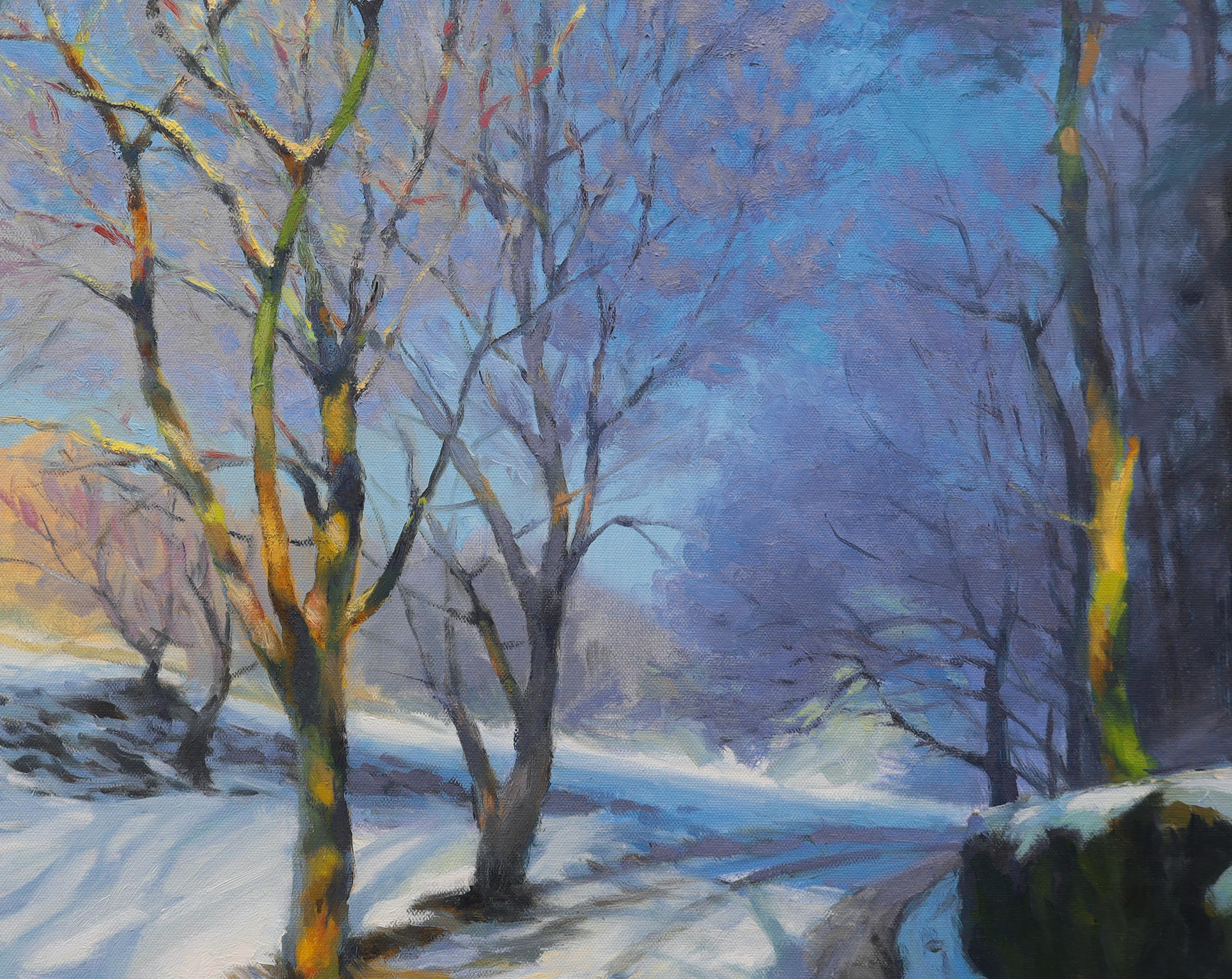 <p>Kommentare des KünstlersEine Straße bleibt unter einer Schneedecke sichtbar.<br> Die angrenzenden Bäume, von denen einige im Schatten liegen, während andere sich in der Wärme der Sonne sonnen, zeigen Farben und Formen, die einen Kontrast zu der