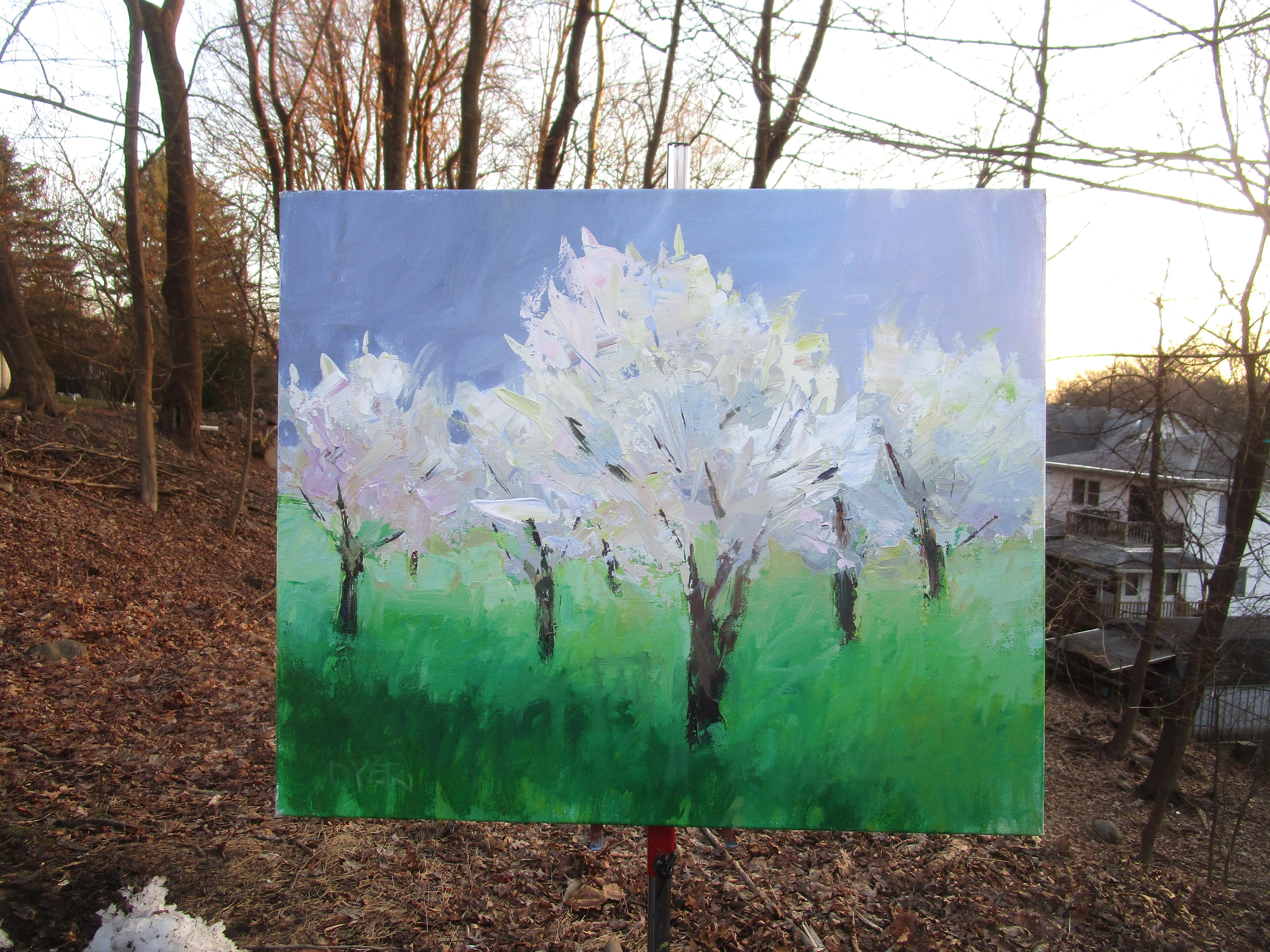 <p>Artist Comments<br>White blossoming trees grace an orchard in Provence, France. Painted with a brush and palette knife, the composition conveys their fleeting beauty. Their flowers contrast against the backdrop of spring, where they gradually