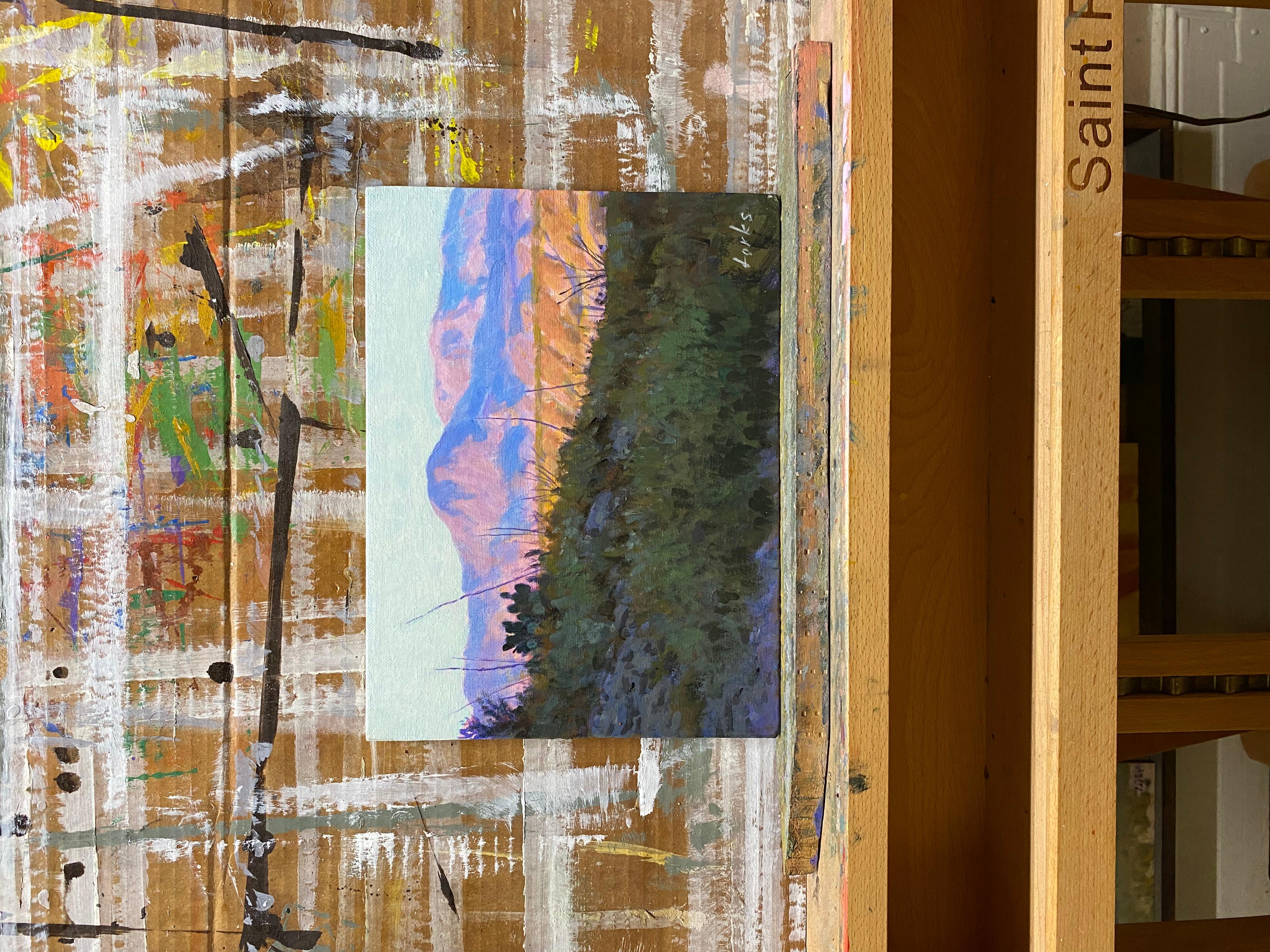 <p>Kommentare des Künstlers<br />Das späte Nachmittagslicht beleuchtet die Wüstenlandschaft des Big Bend National Park. Der Hang im Vordergrund liegt im Schatten und lenkt den Blick auf einen entfernten Berg, der in warmen Violett- und Gelbtönen