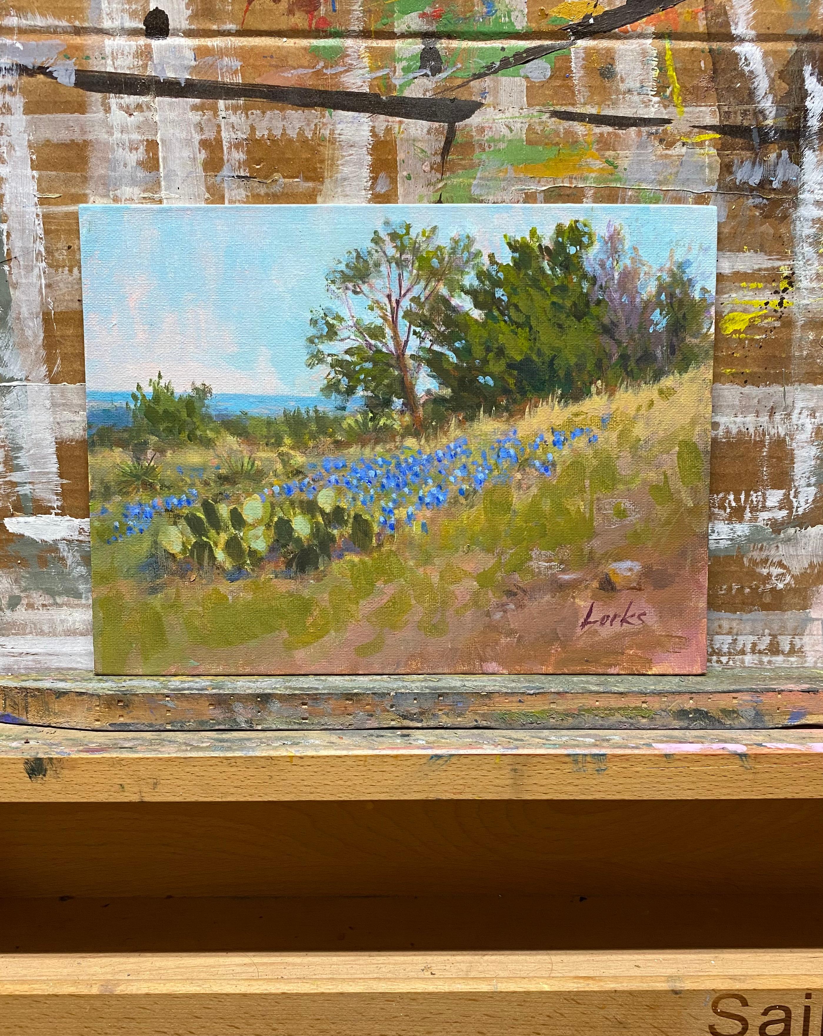 <p>Artist Comments<br />Cedar trees, bluebonnets, and cacti grace a hilltop near Willow City, Texas. A body of water peeks through the edge of the grass-covered ground. The painterly impressionist depiction of the landscape evokes a serene and