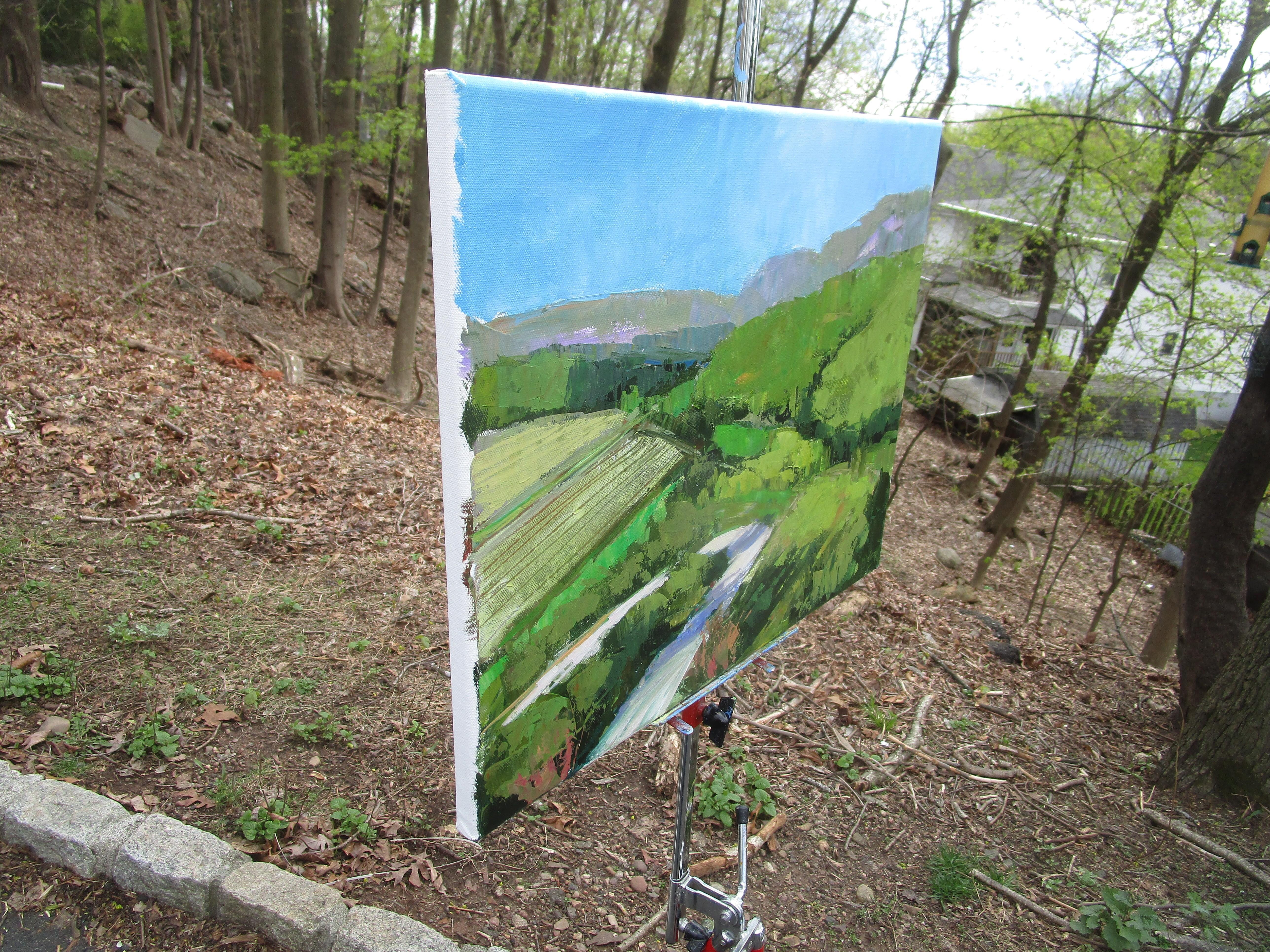 <p>Artist Comments<br>An aerial view reveals a picturesque landscape of the South of France, with verdant greenery and farmland hugging a winding switchback road. While a zigzag path on a steep hill may cause unease, it offers a stunning vista from