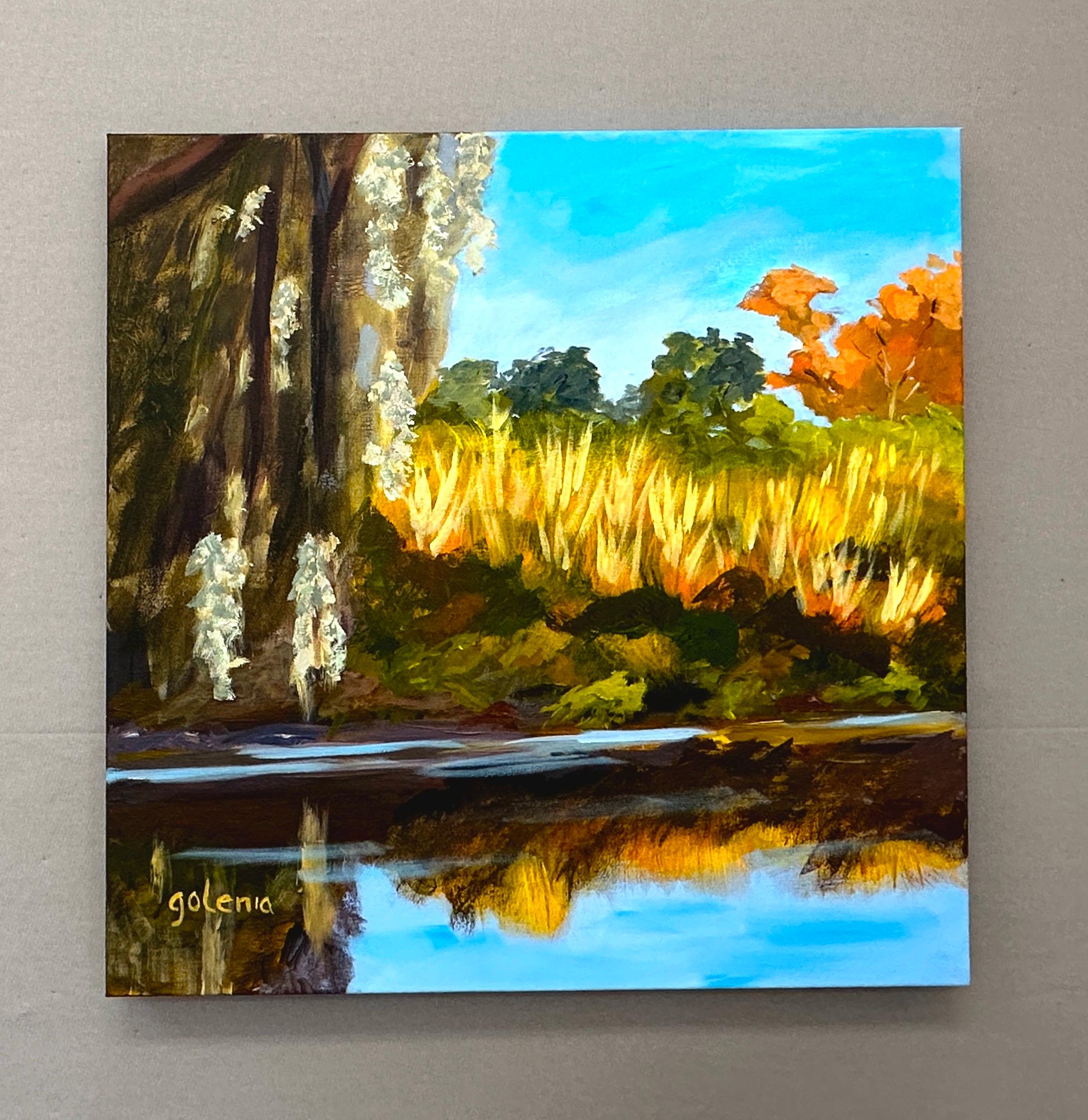 <p>Commentaires de l'artiste<br />La lumière du soleil illumine le feuillage d'automne vibrant et les herbes dorées le long des rives de Phillippi Creek à Sarasota, en Floride. La mousse espagnole est suspendue aux chênes matures. L'eau tranquille