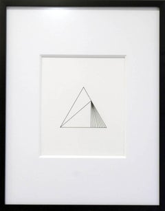 Disegno n. 33, 2024 (Collezione Flamingo), Pittura astratta