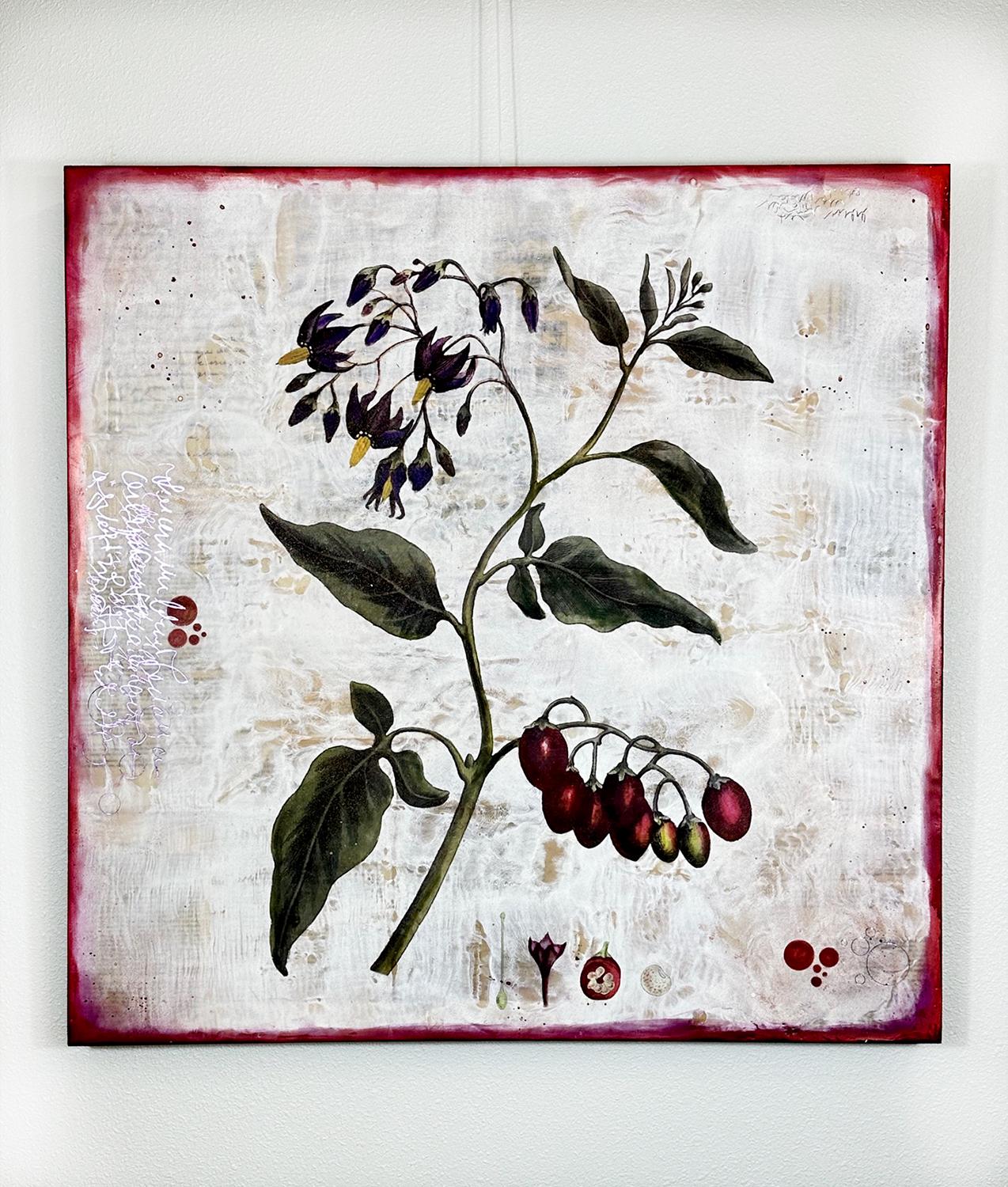<p>Commenti dell'artista<br />Fiori viola intenso e bacche rosse emergono da una pianta di belladonna. Lo sfondo impregnato di cera aggiunge una texture liscia e un'eleganza naturale a questo encausto botanico. La scrittura asemica introduce un