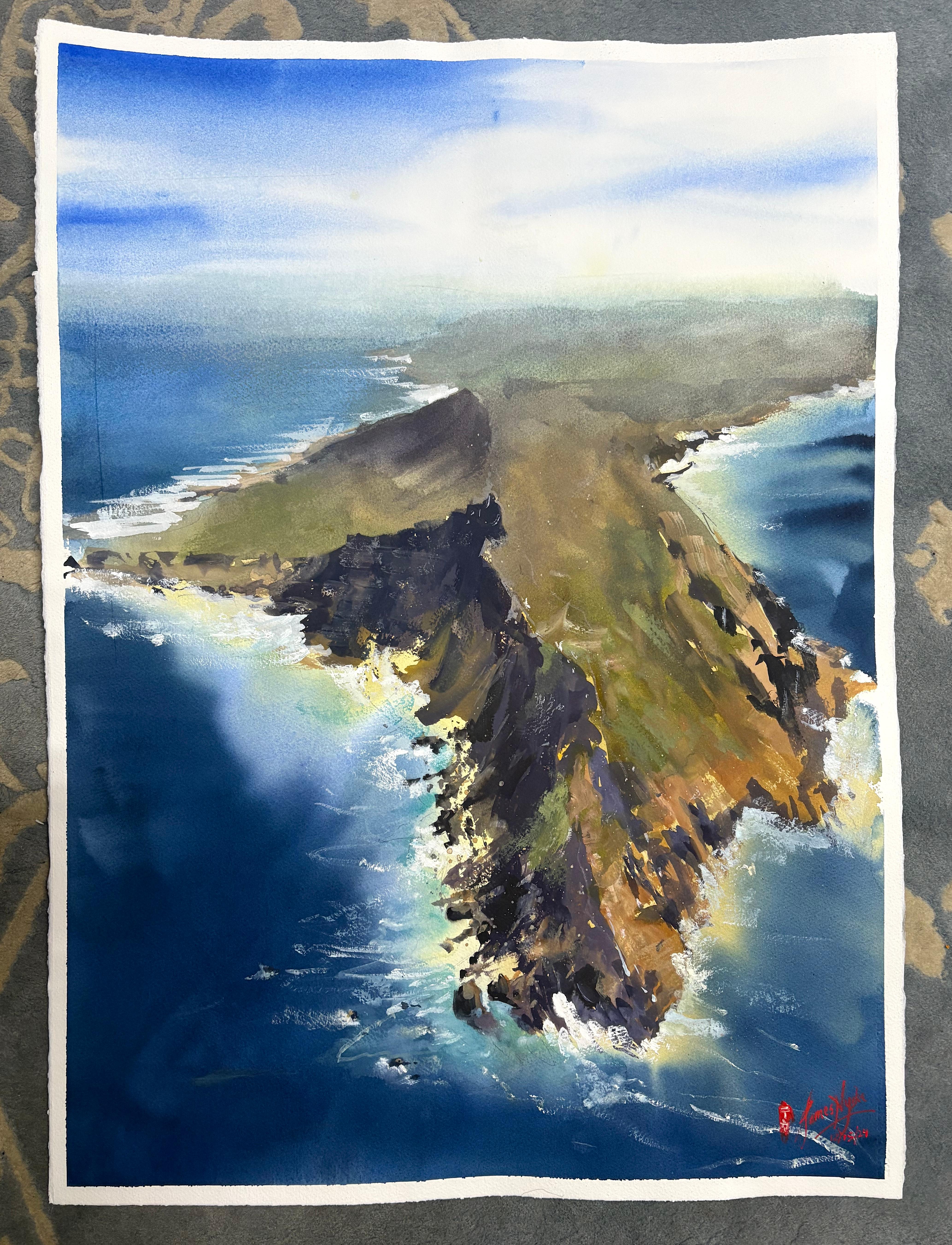 Bordo del Capo, Pittura originale - Art Impressionismo di James Nyika