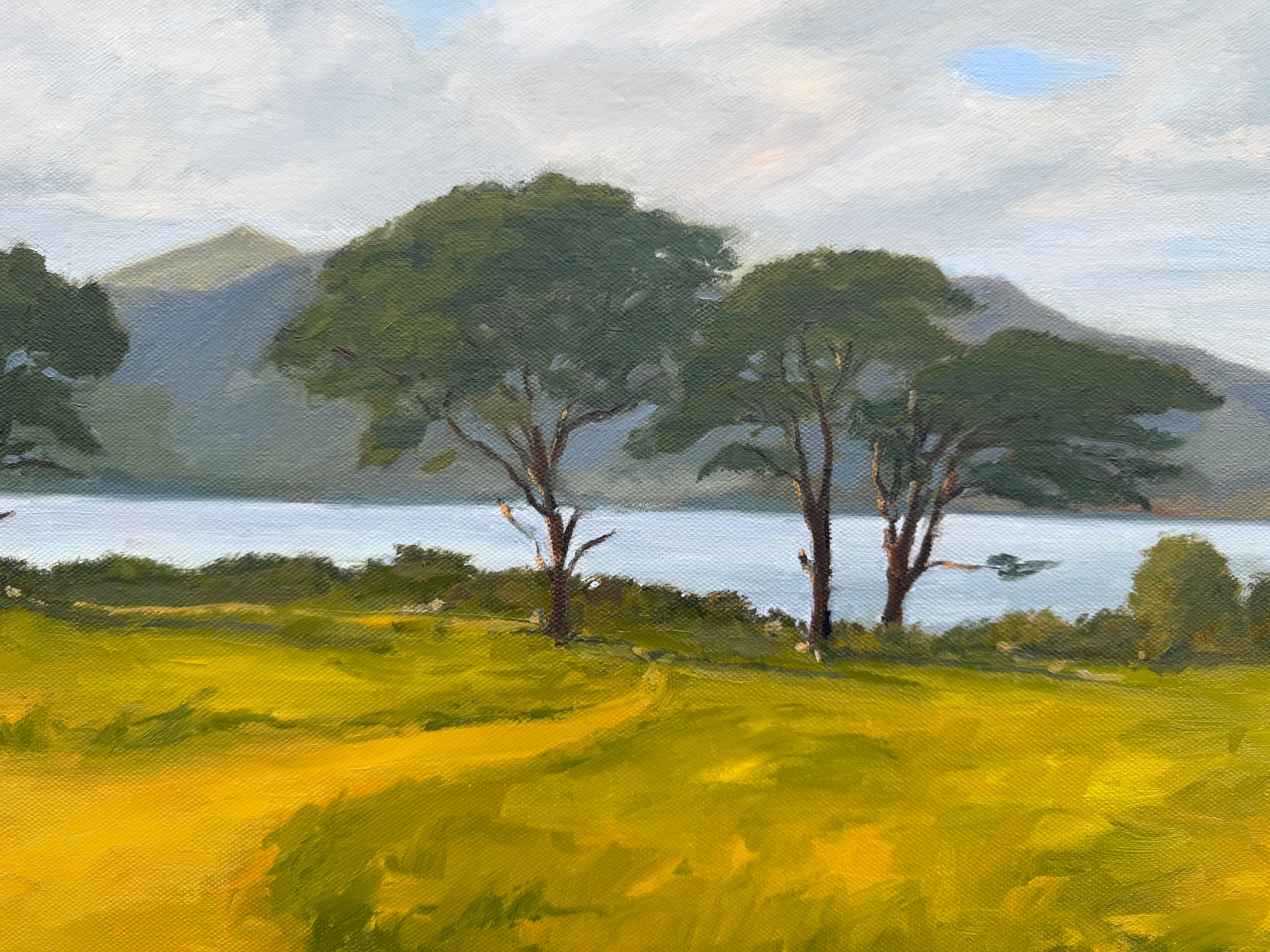 Killarney, Ölgemälde im Angebot 1