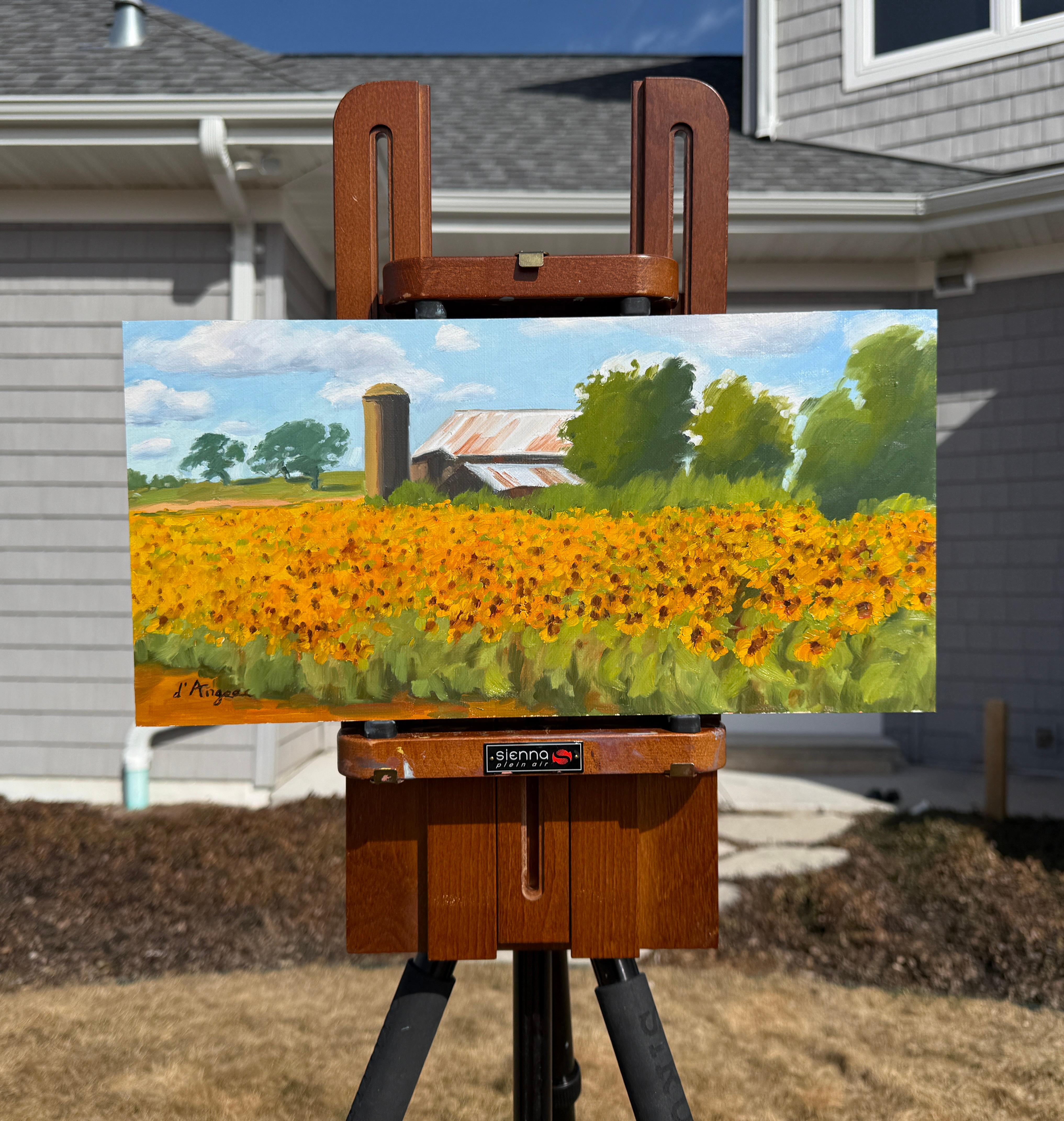Campo di girasoli, Pittura a olio - Painting Impressionismo di Karen d’Angeac Mihm