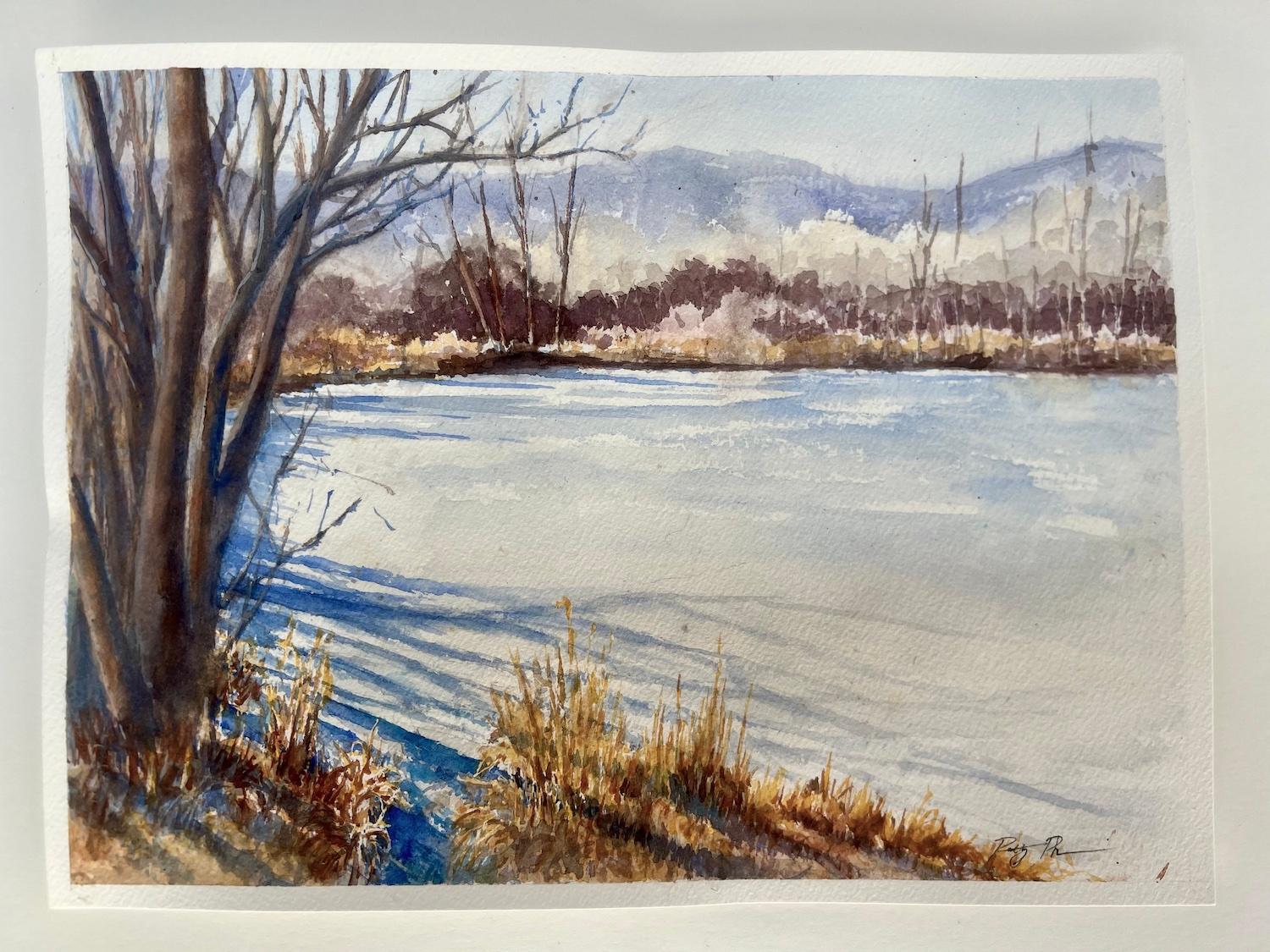 <p>Artist Comments<br>The sky shines a brilliant blue on these rare warm January days. Sunlight bathes the landscape, casting shadows from the trees. Patches of golden grass peek through the snow, adding warmth to the winter scene.</p><br/><p>About