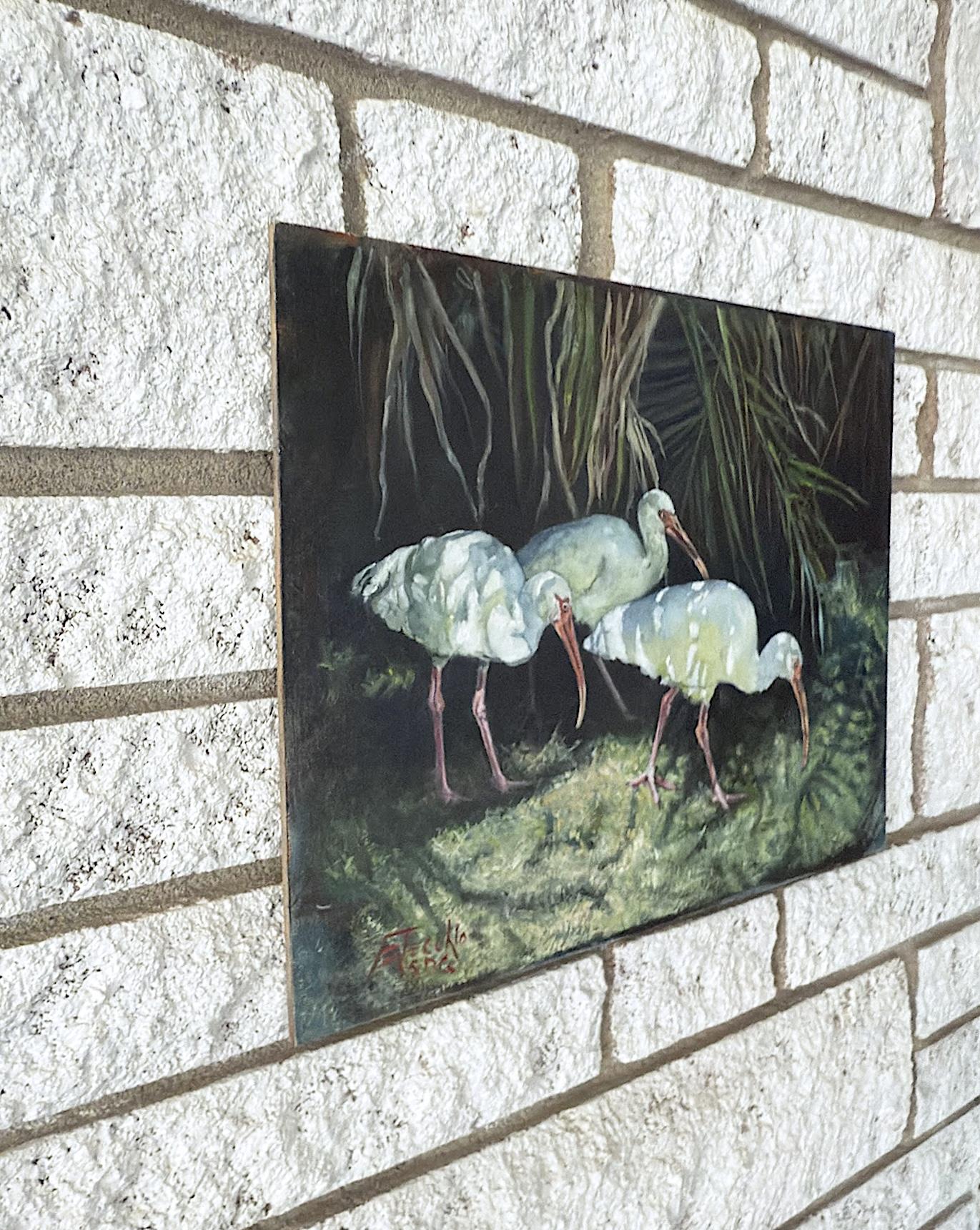 Ibis and Shadows, Oil Painting - Impressionist Art by Jan Fontecchio Perley