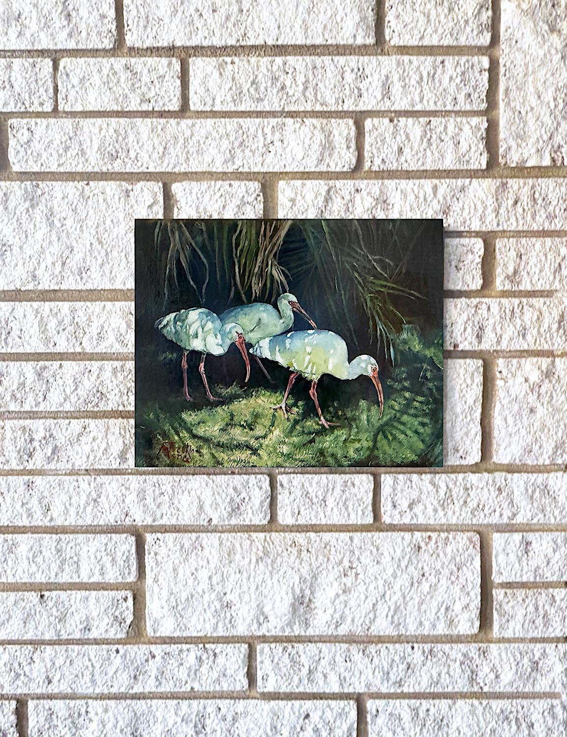 <p>Artist Comments<br>Ibis birds wander and forage under palm fronds. Their white feathers catch the dappled sunlight, while their red beaks and legs contrast with the lush greens. Inspired by artist Jan Fontecchio Perley's photograph, this painting