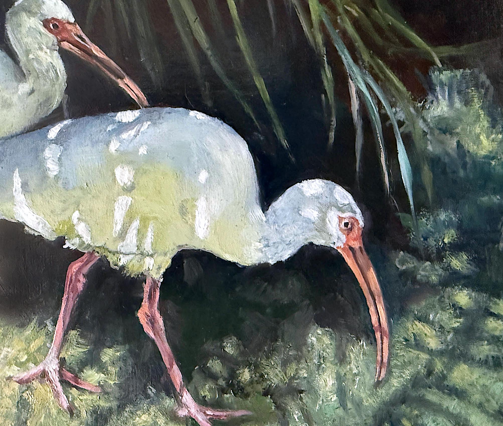 Ibis and Shadows, Oil Painting For Sale 1