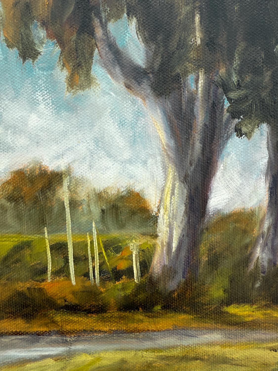 Eukalyptus an der Marina, Ölgemälde (Braun), Landscape Painting, von Mandy Main