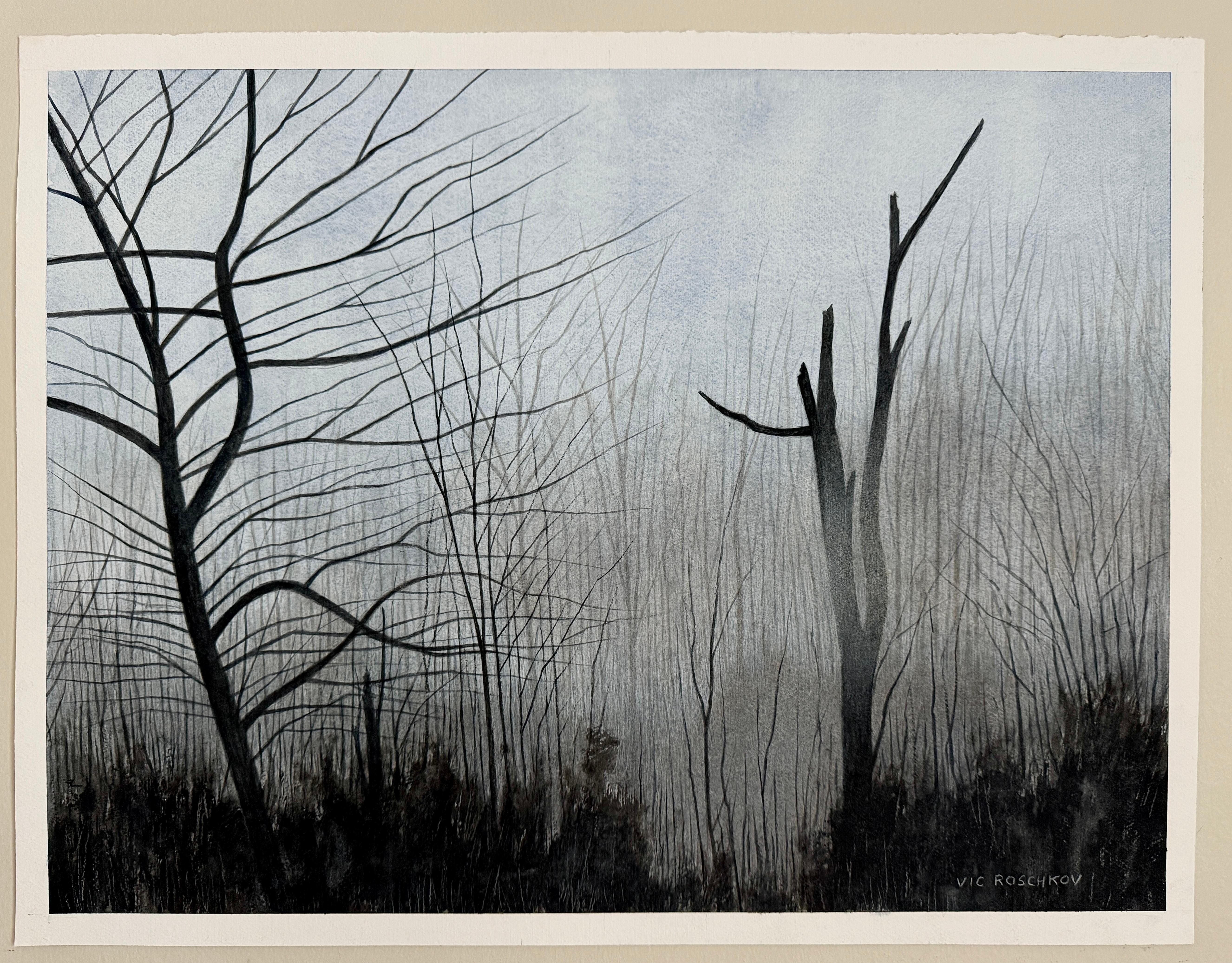 <p>Commenti dell'artista<br>La nebbia mattutina avvolge una serena scena di bosco. Alberi scuri e spogli allungano i loro rami nella nebbia, creando un senso di tranquillo mistero. Il sottobosco in primo piano aggiunge contrasto e fissa la