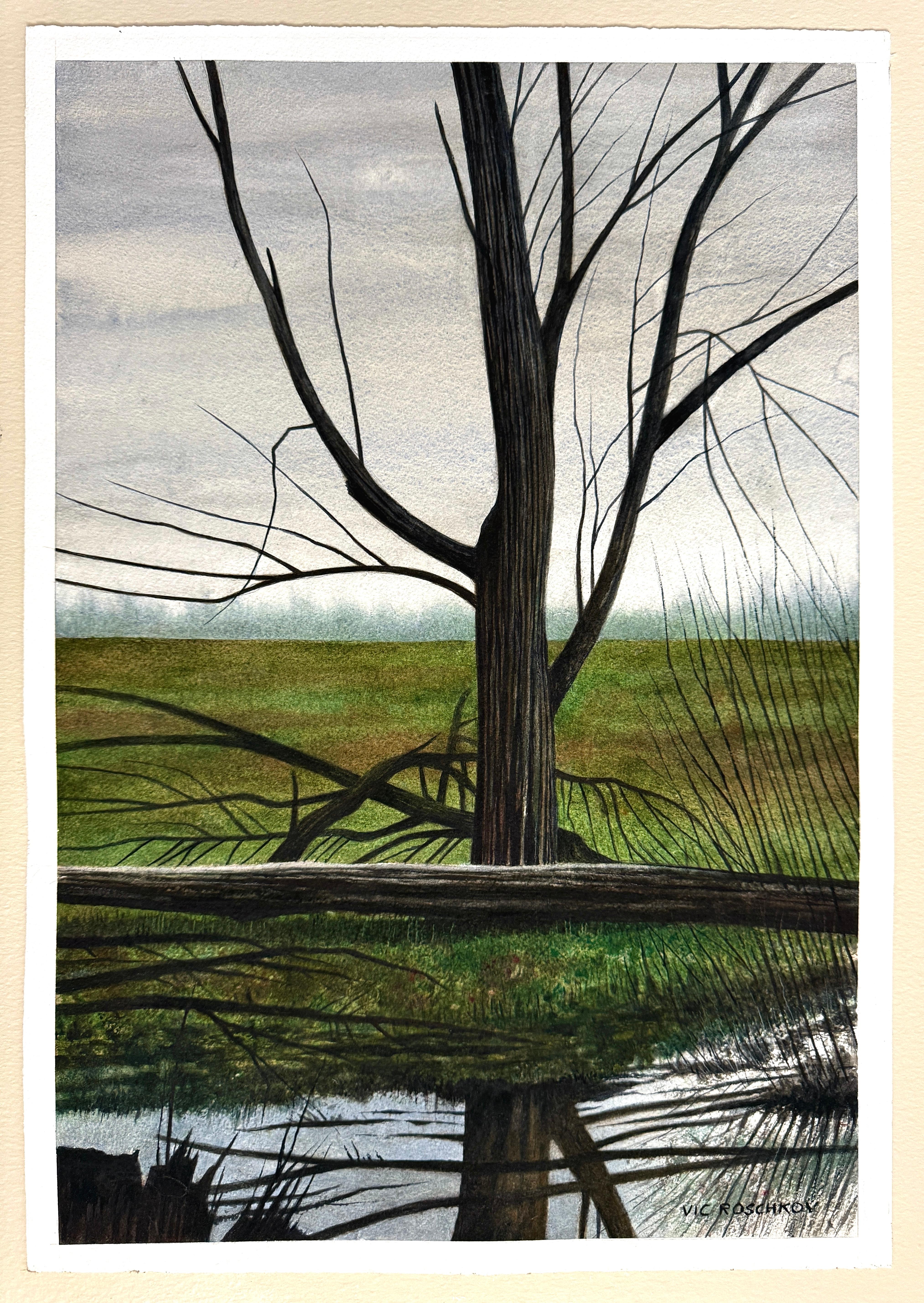 <p>Commentaires de l'artiste<br>Un arbre sans feuilles se dresse au milieu d'un paysage de campagne serein.  Les branches sombres s'étirent vers le haut sur fond de ciel couvert, créant une silhouette saisissante. À côté, un étang calme et
