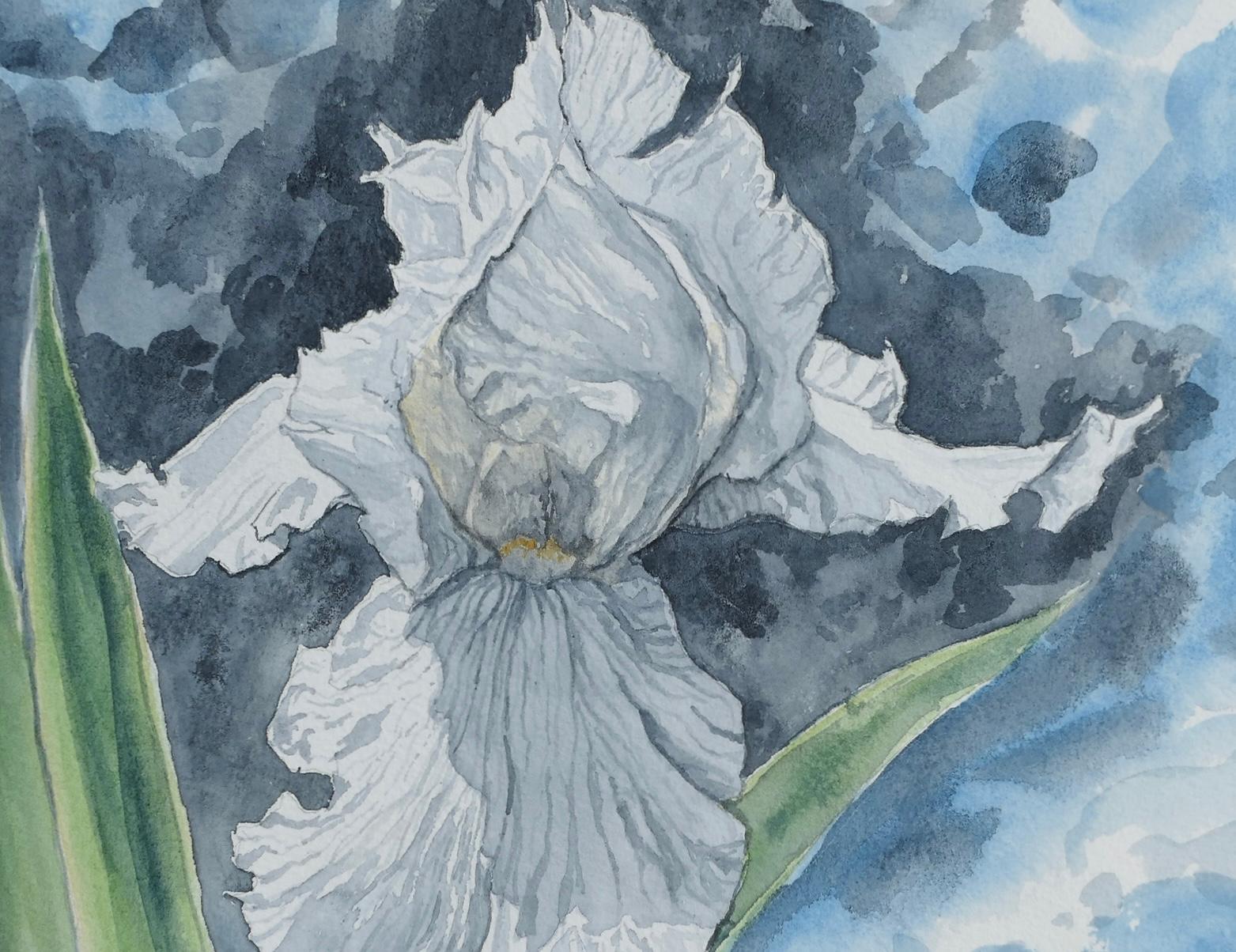 Iris blanco, Pintura original en venta 1