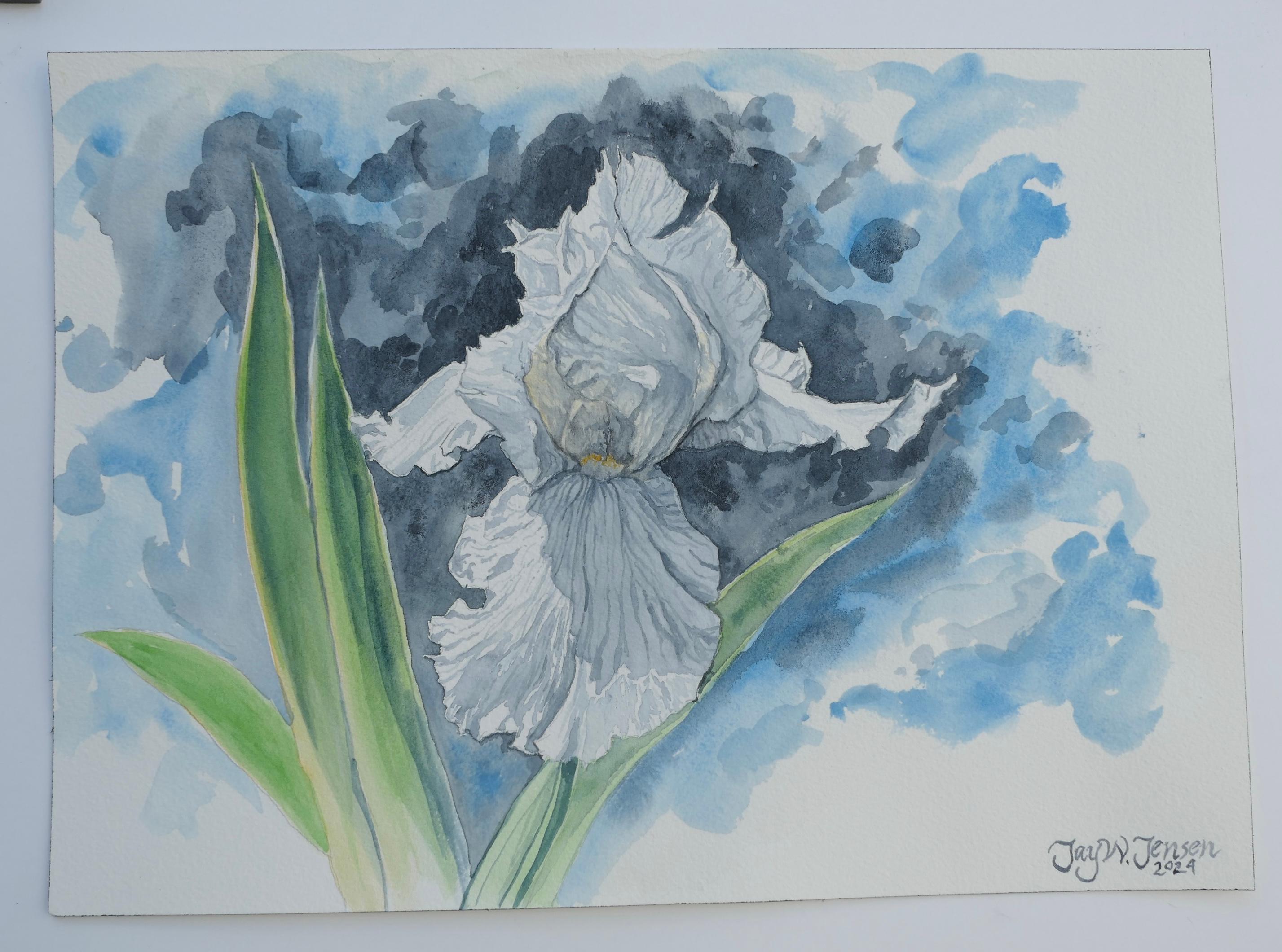 <p>Comentarios del artista<br>Un iris blanco florece sobre un fondo gris y azul. Sus pétalos brillan con pureza, mientras que las sombras sutiles se hacen eco de los tonos de la luz circundante. Para el artista Jay Jensen, la pieza refleja la
