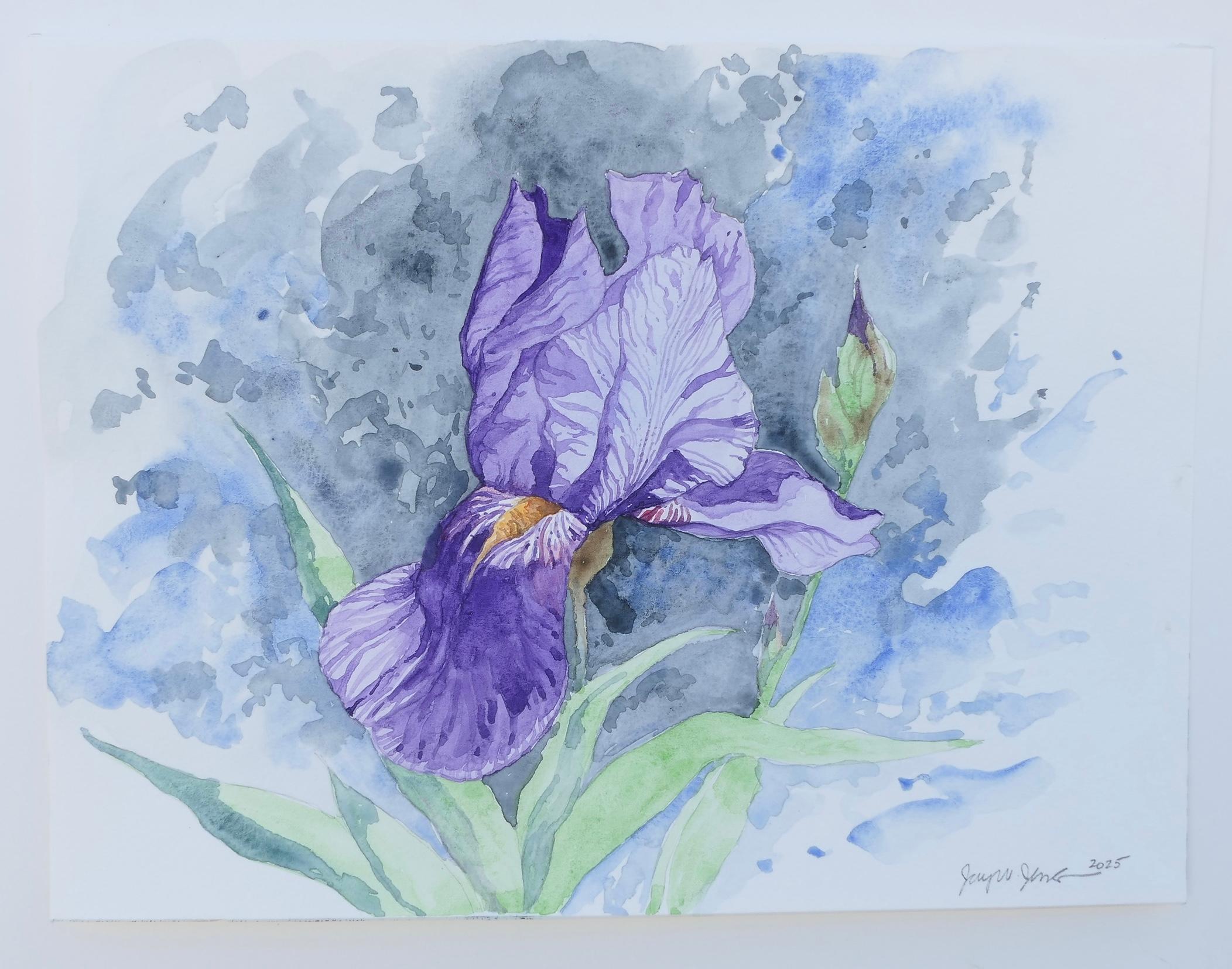 <p>Comentarios del artista<br>Un iris morado florece sobre un fondo azul y gris. Sus delicados pétalos se despliegan, revelando dibujos de venas suaves y una mancha amarilla. El artista Jay Jensen reflexiona sobre los retos de utilizar la acuarela