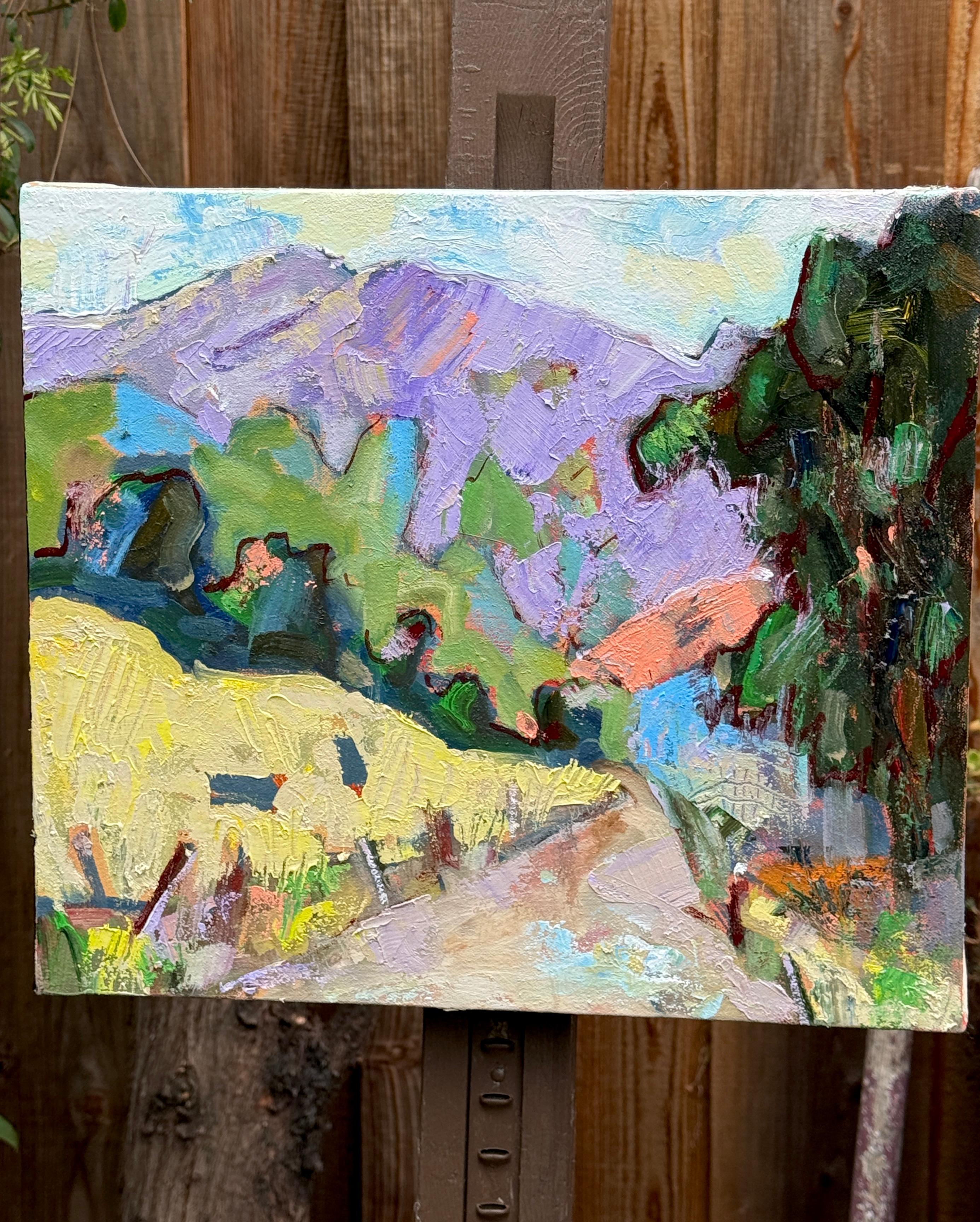 <p>Artist Comments<br>A path leads to Mt. Diablo in this Fauvist landscape. Artist James Hartman used thick layers of oil paint to create an expressive and textured outdoor scene. Influenced by Matisse, the bold colors produce a vivid