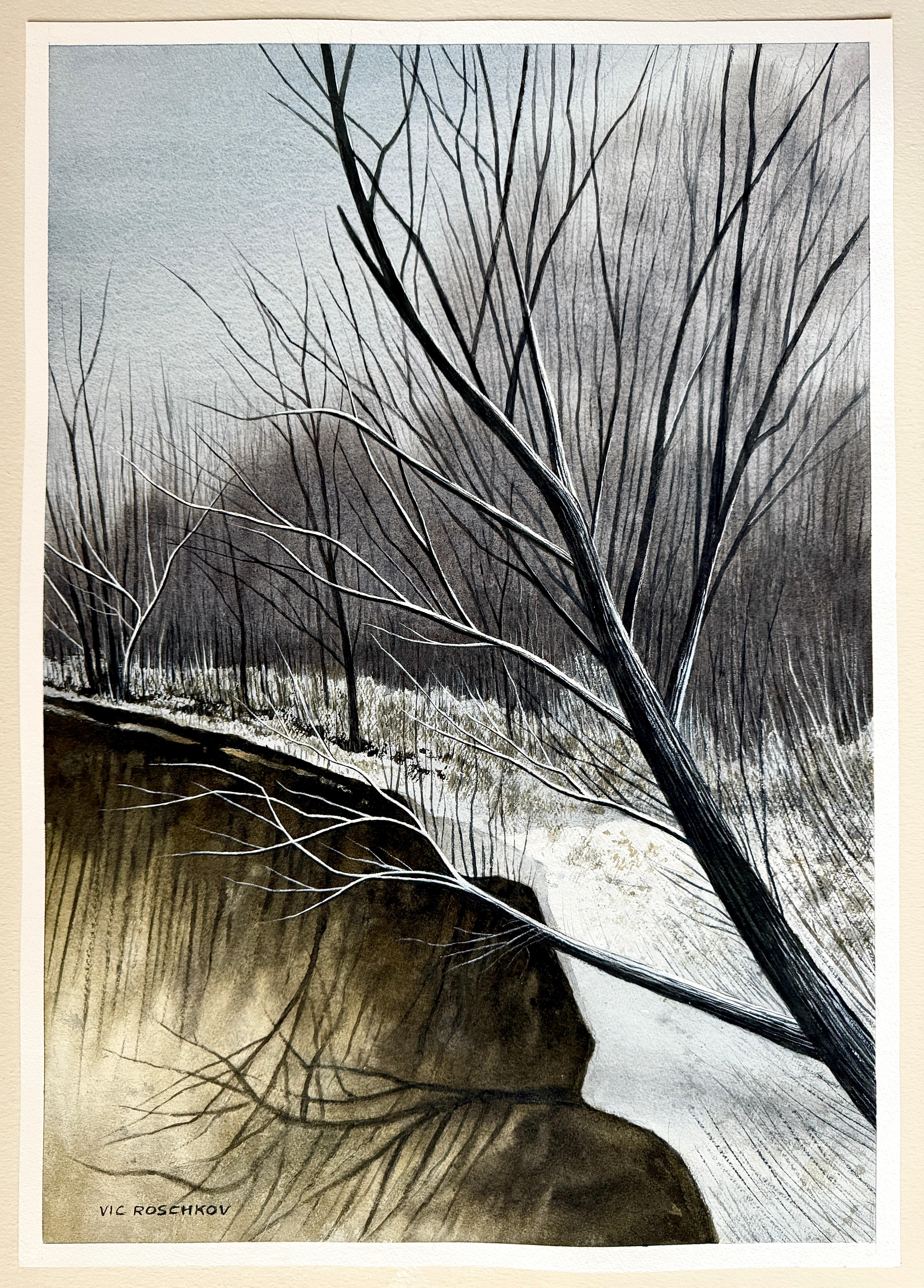 Barranco Silencioso, Pintura Original - Art Contemporáneo de Vic Roschkov