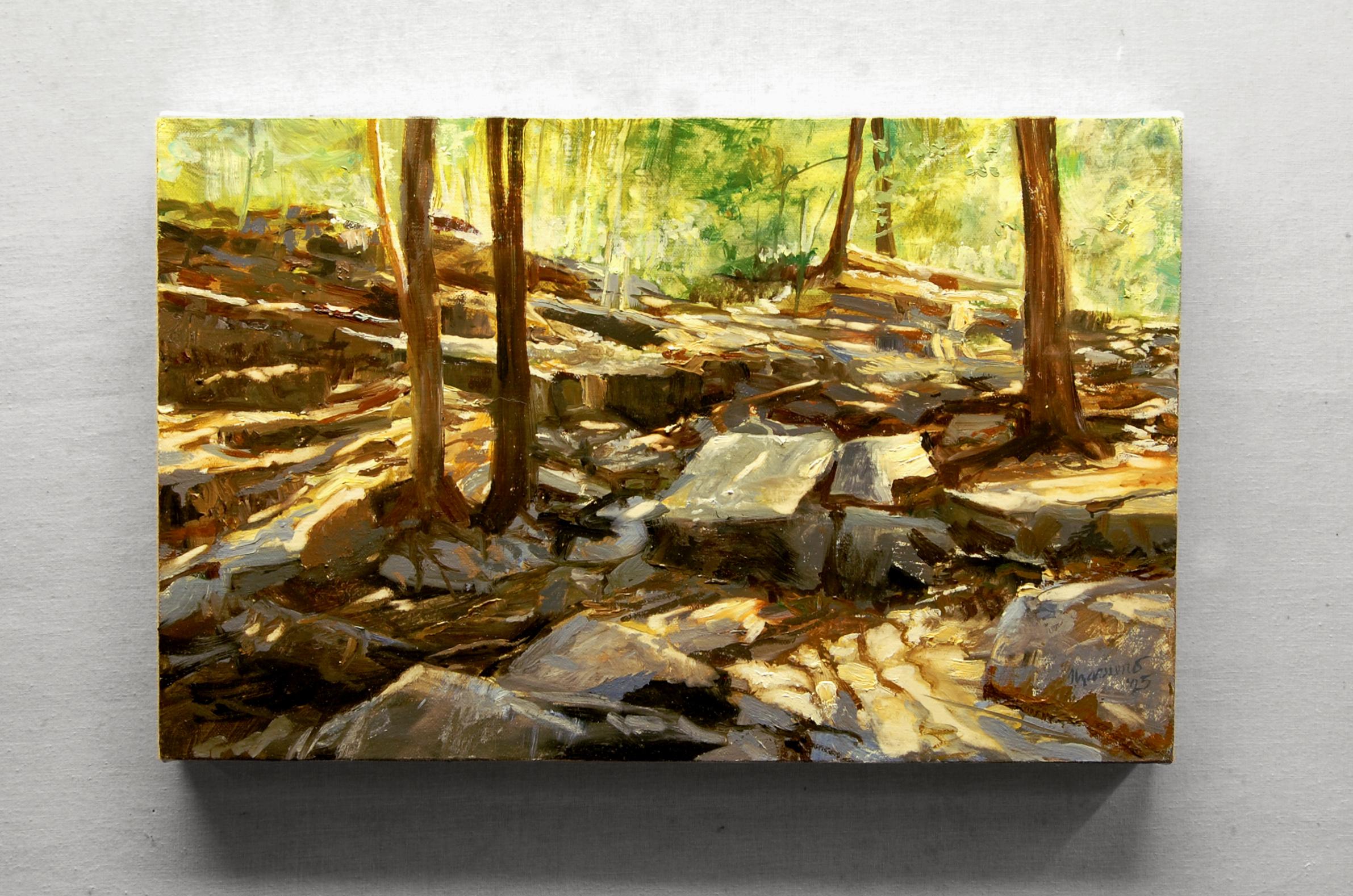 <p>Comentarios del artista<br>Una pintura de bosque capta la brillante luz del sol jugando sobre las formaciones rocosas de una elevación en el bosque cercano a la casa del artista Onelio Marrero. Las manchas de luz solar cálida acentúan los colores