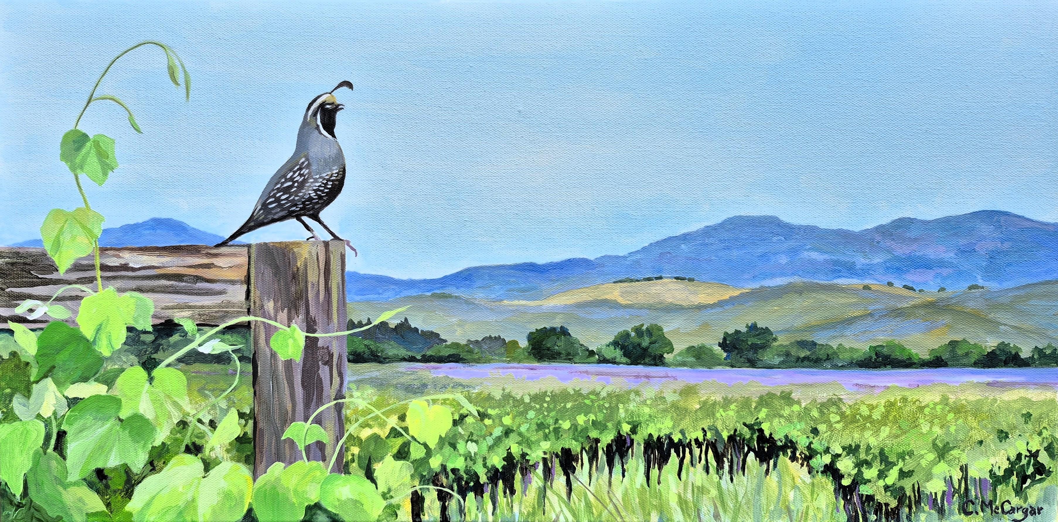 Caille à l
affût du vignoble, peinture originale - Art de Catherine McCargar