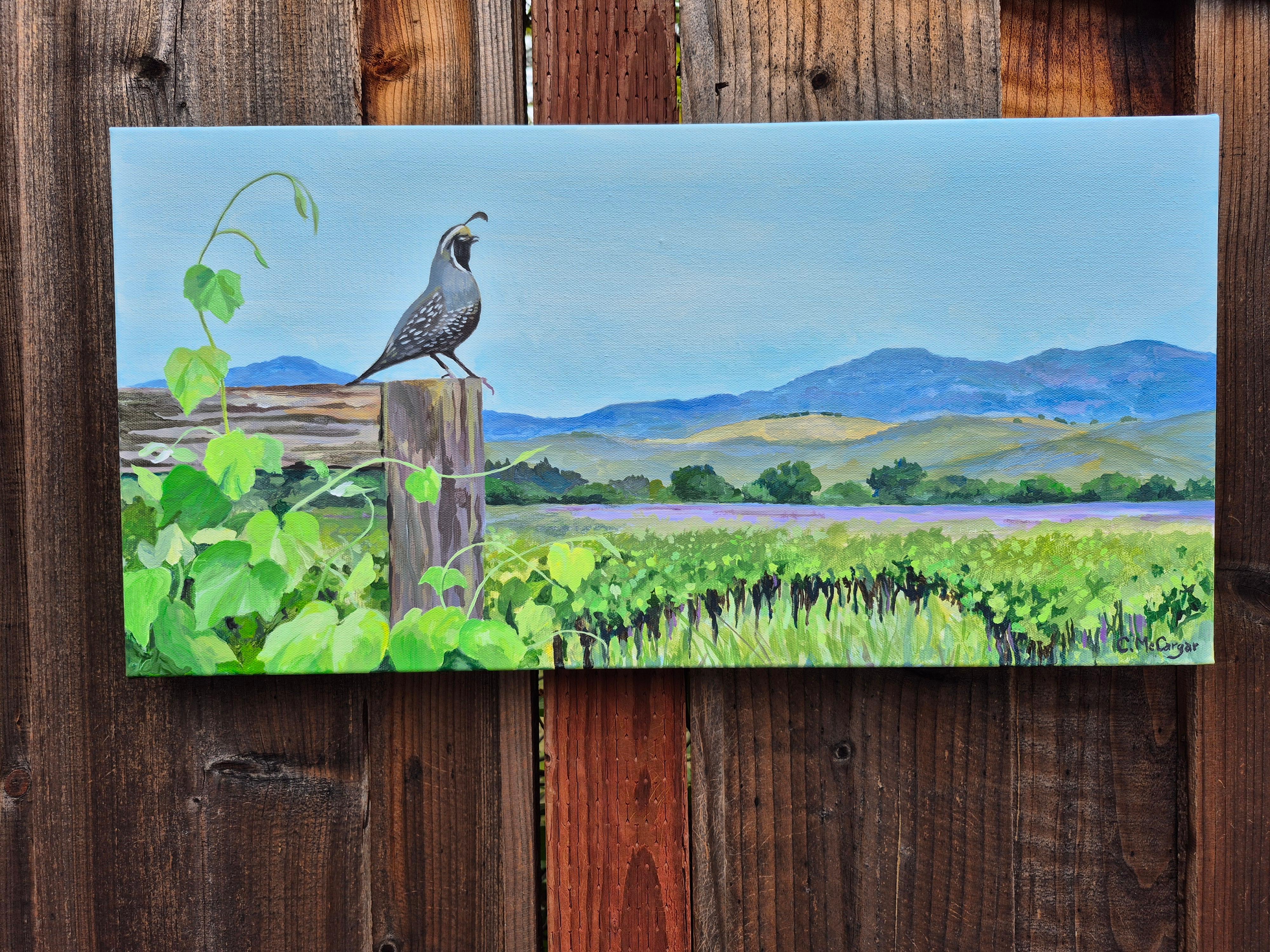 <p>Commentaires de l'artiste<br>Une caille solitaire se perche sur une clôture, observant un vignoble verdoyant dans la vallée de Sonoma en Californie. La vue panoramique révèle l'atmosphère tranquille du paysage. L'artiste Catherine McCargar