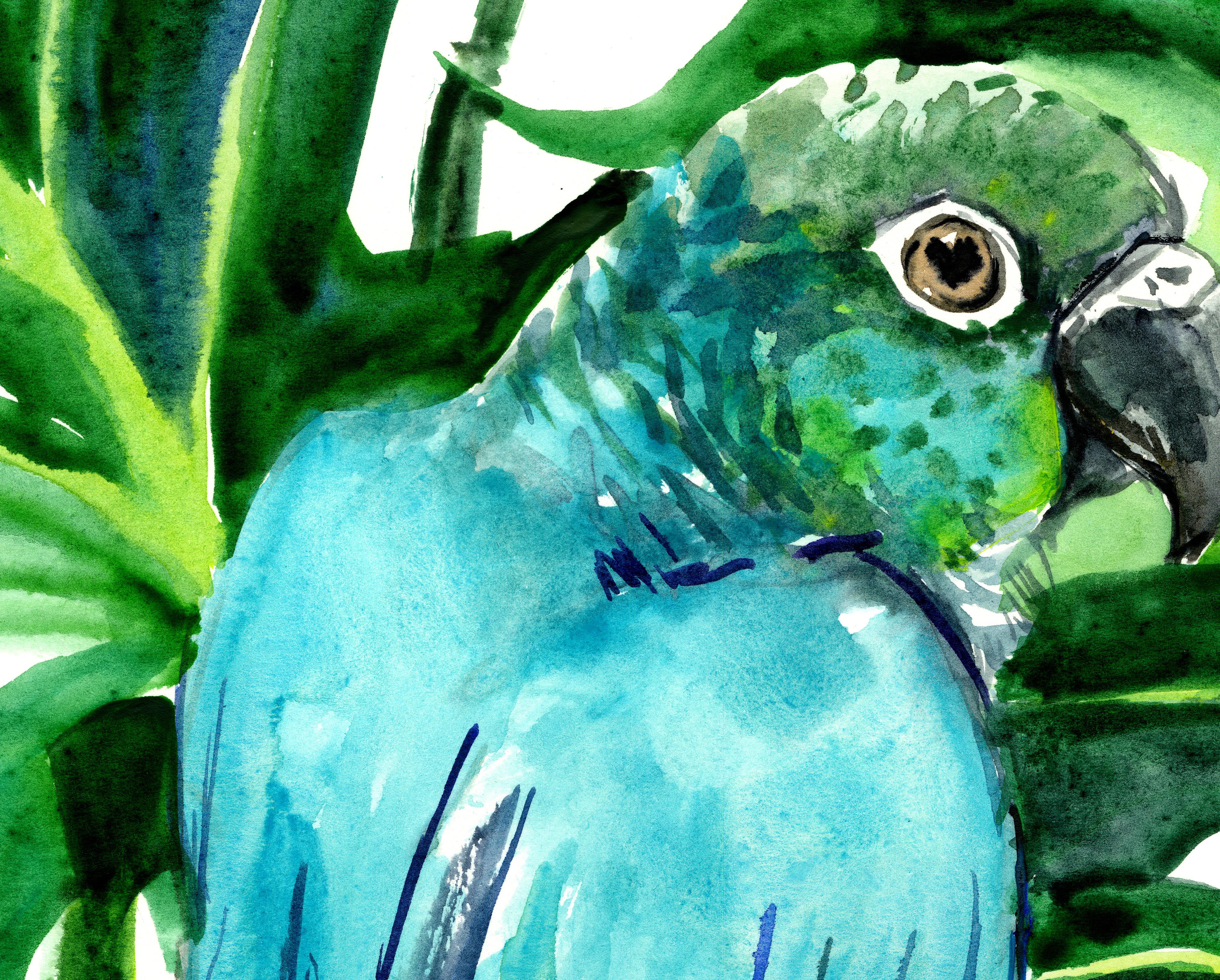 Green Conure and Philodendron, Tropical - Art by Suren Nersisyan