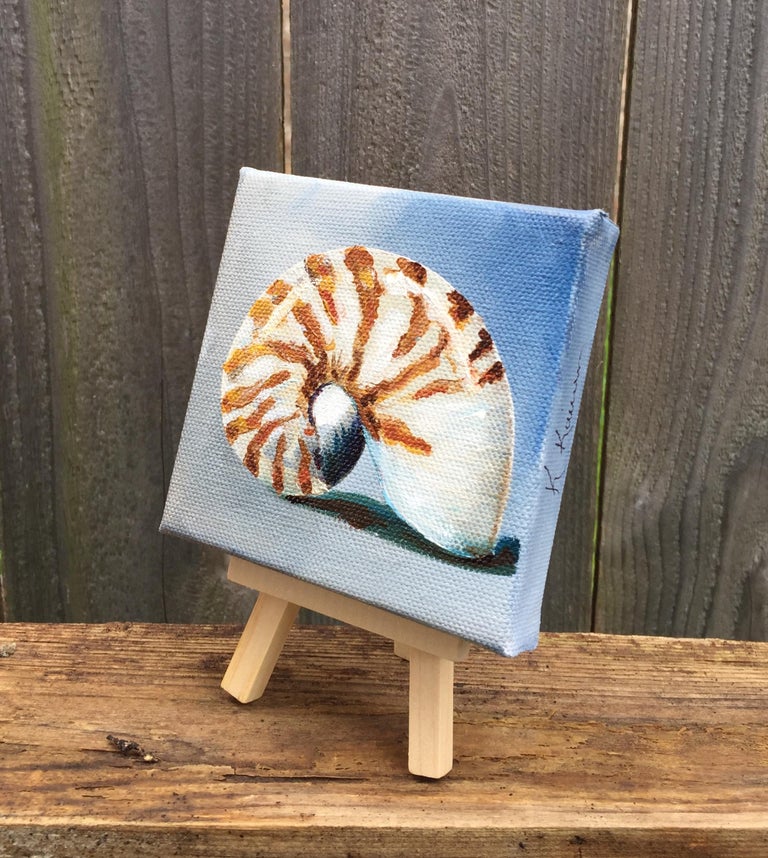 Kristine Kainer Nautilus Shell At 1stdibs Kristine Kainer Nautilus Shell At 1stdibs