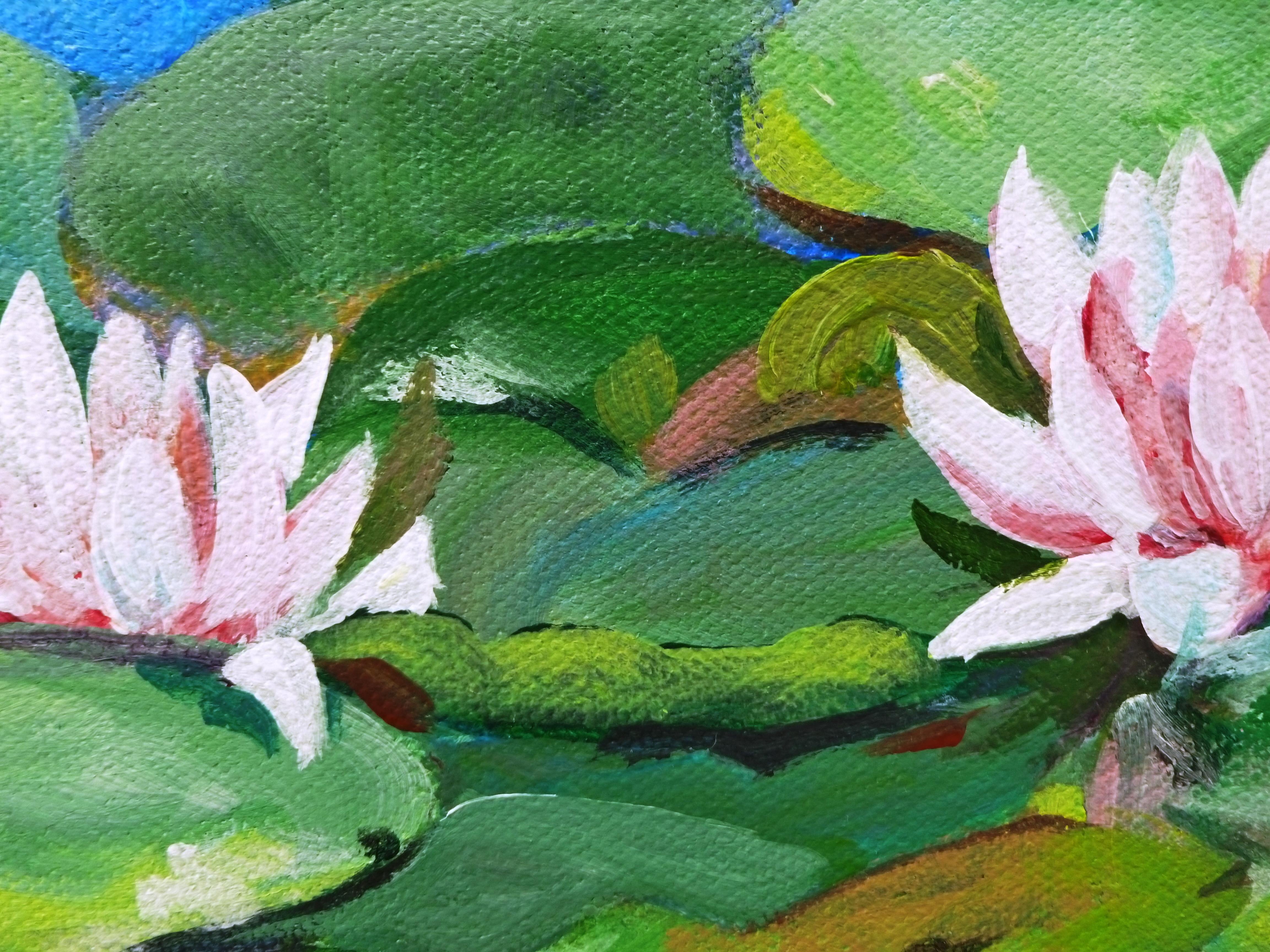 Waterlilies 1