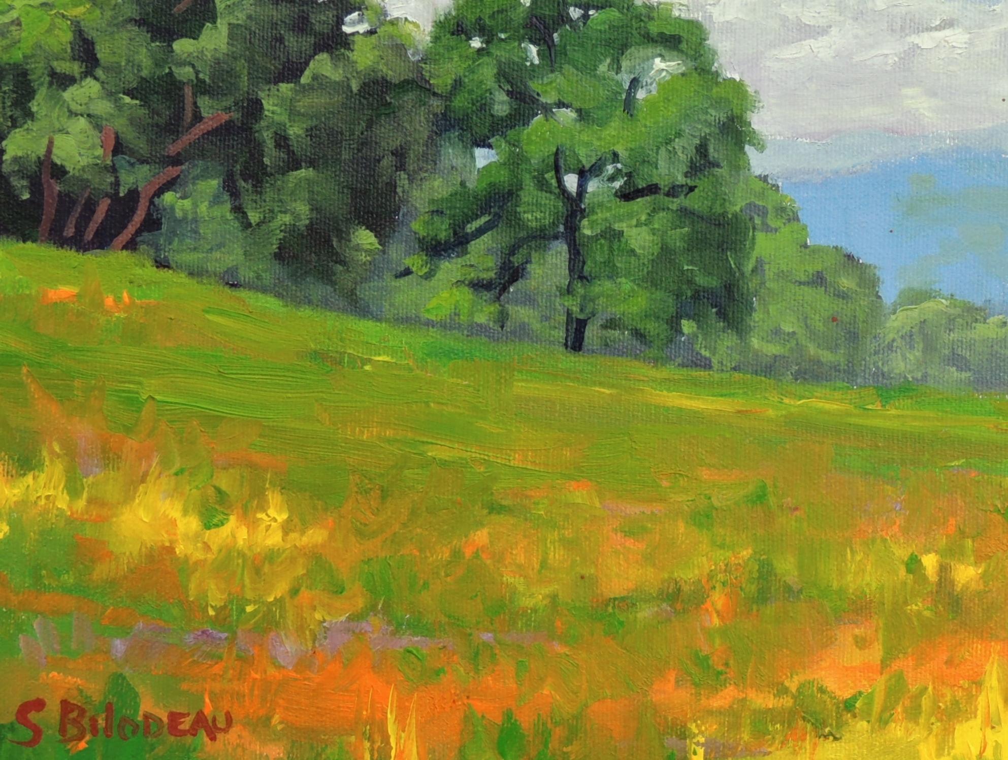 <p>Artist Comments<br />This is a plein-air painting of a field in Lake County California.  </p><p>About the Artist<br />Steven Guy Bilodeau prefers to create his works in one session, so that he can hold on to the emotional connection between