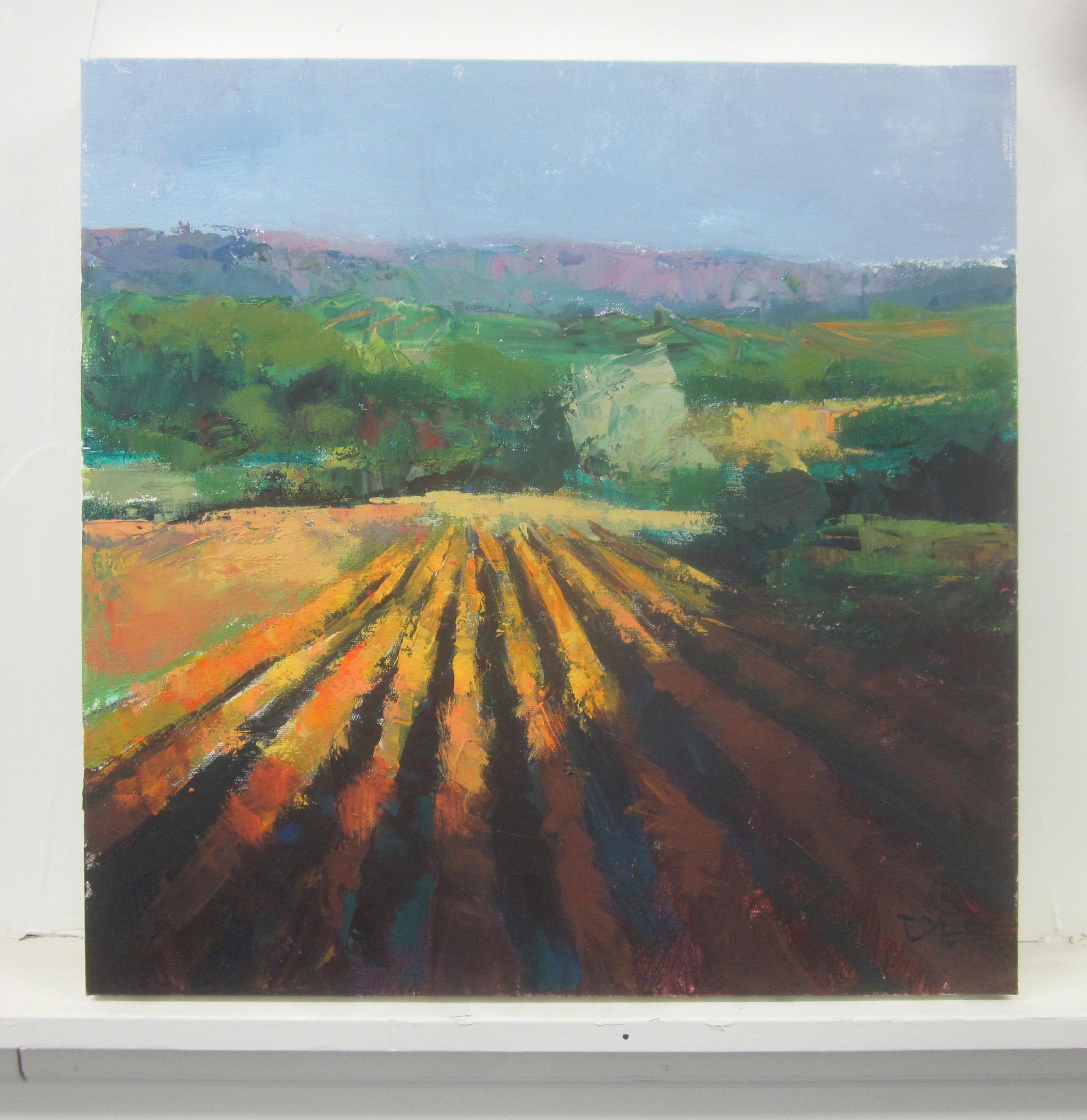 Felder im Sonnenlicht, Provence (Abstrakter Impressionismus), Painting, von Janet Dyer