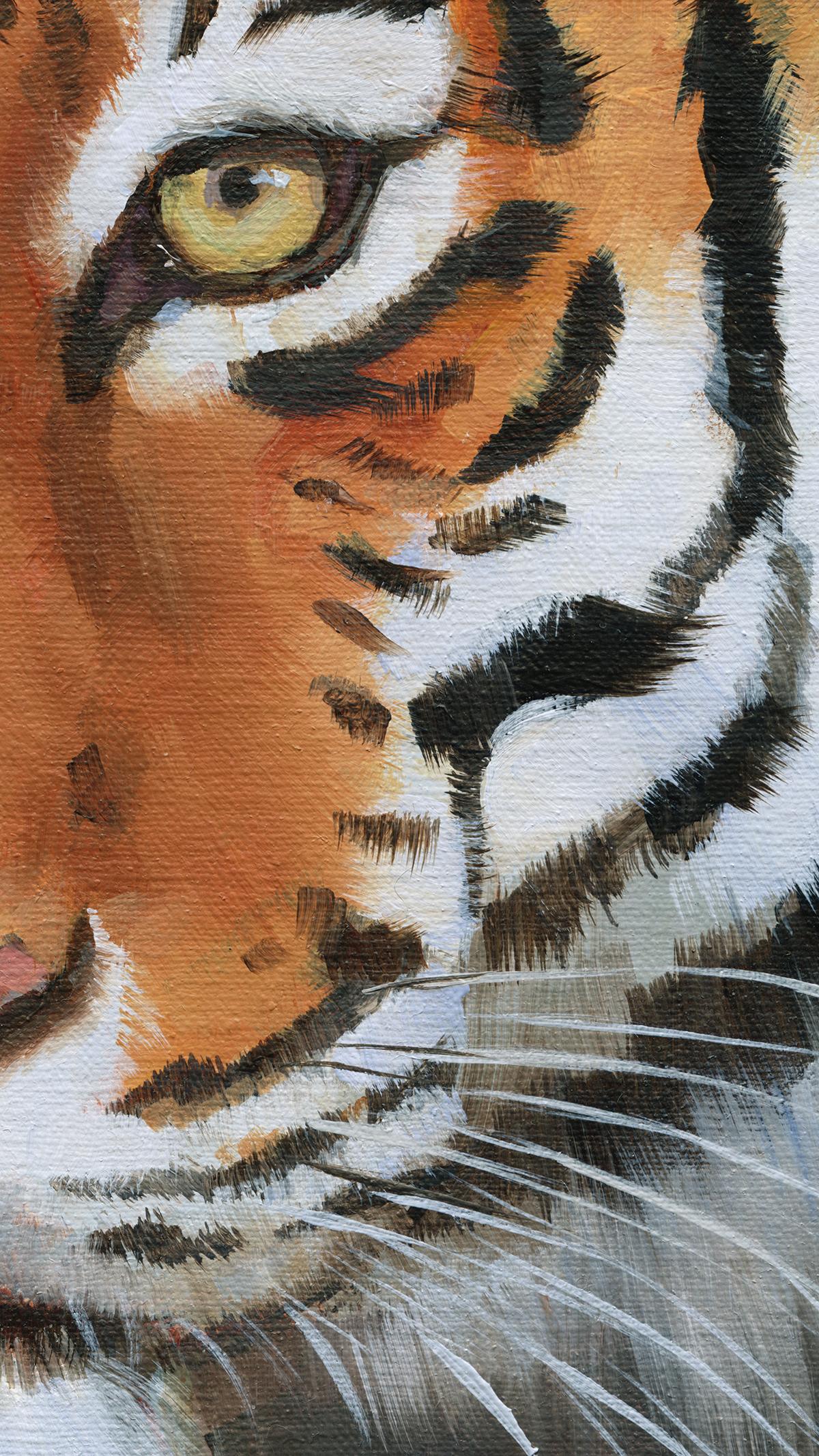 close up animal paintings