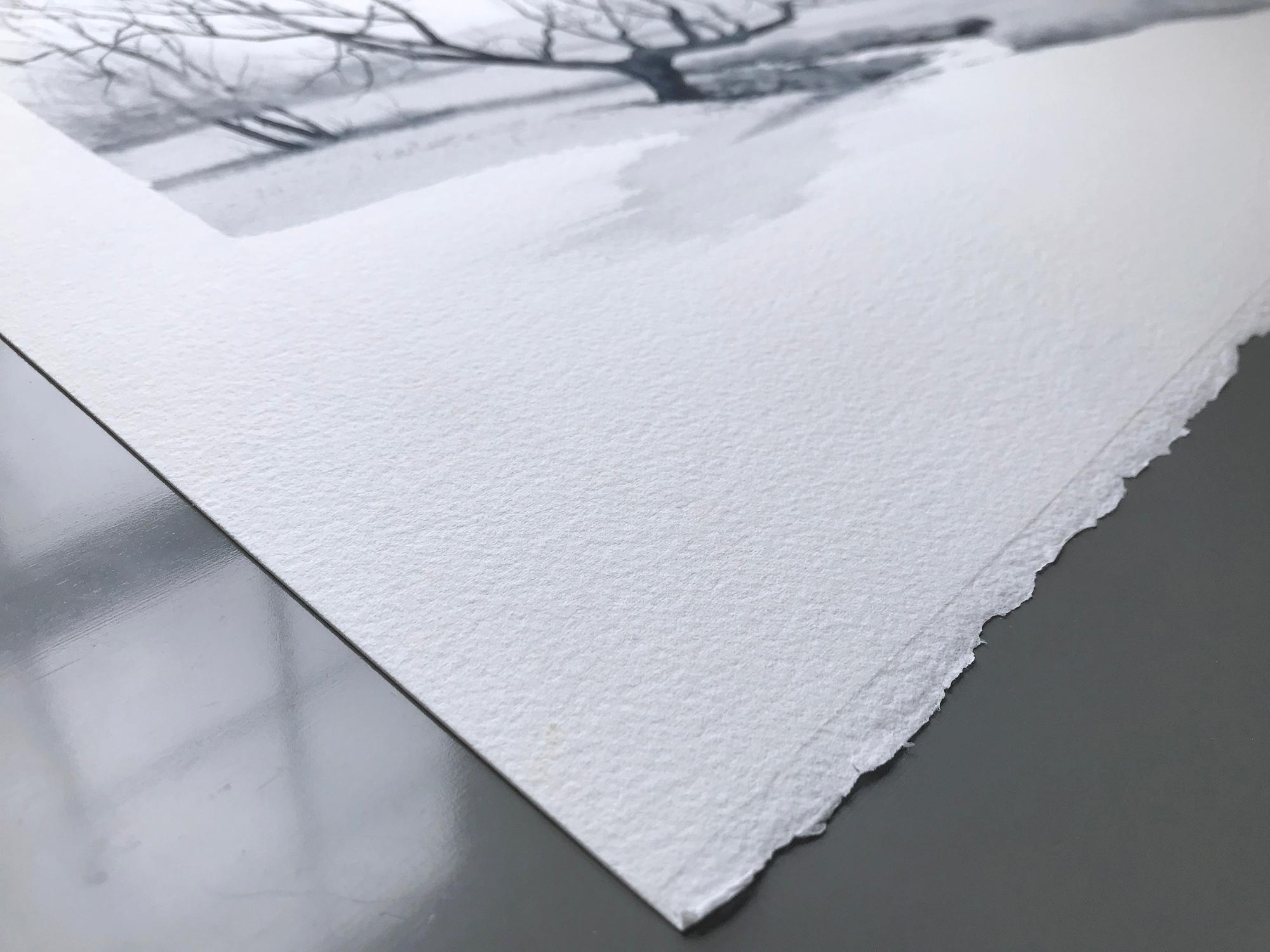 Raggiungere - Art di Jill Poyerd