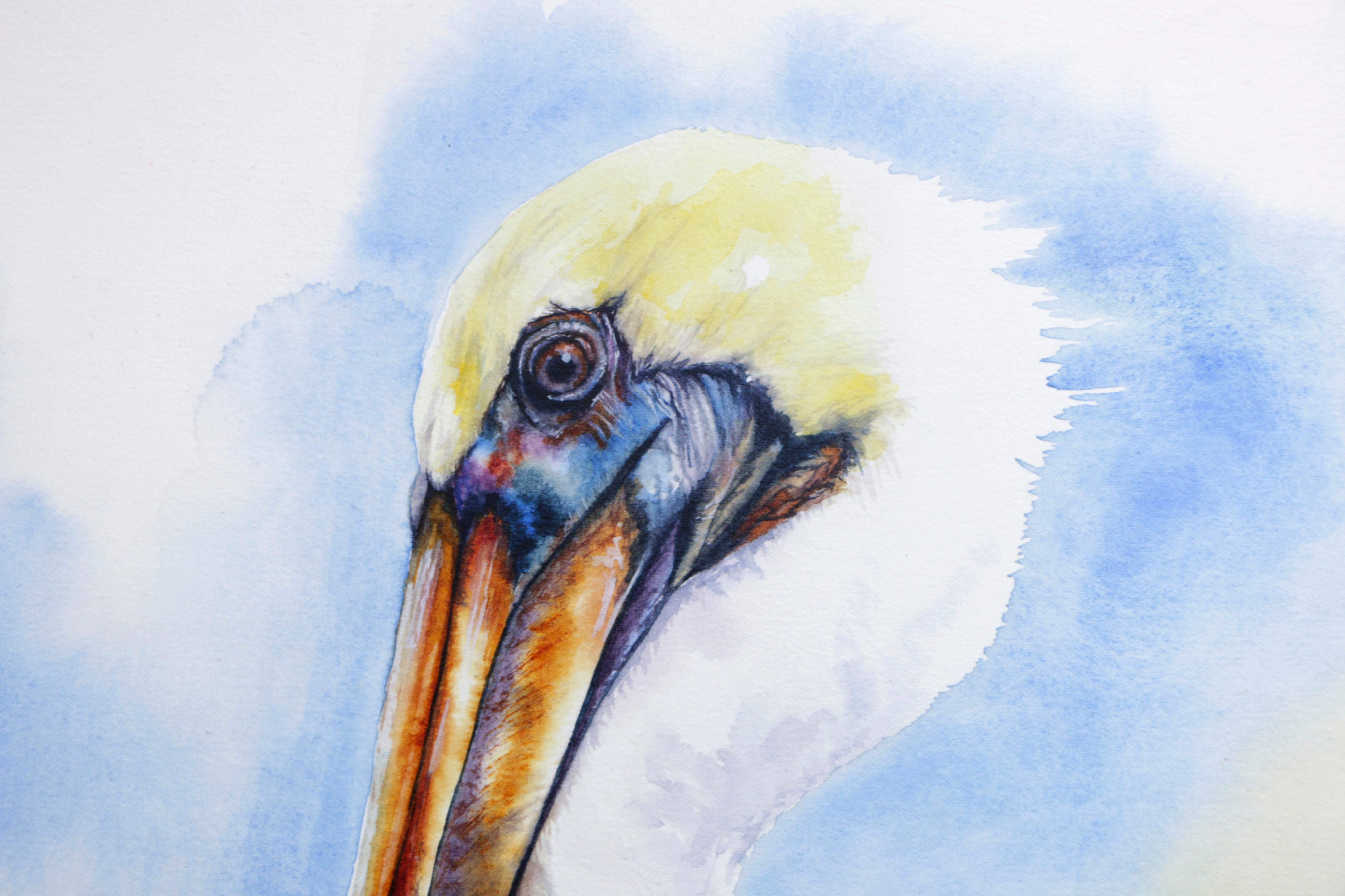 realistic pelican drawing