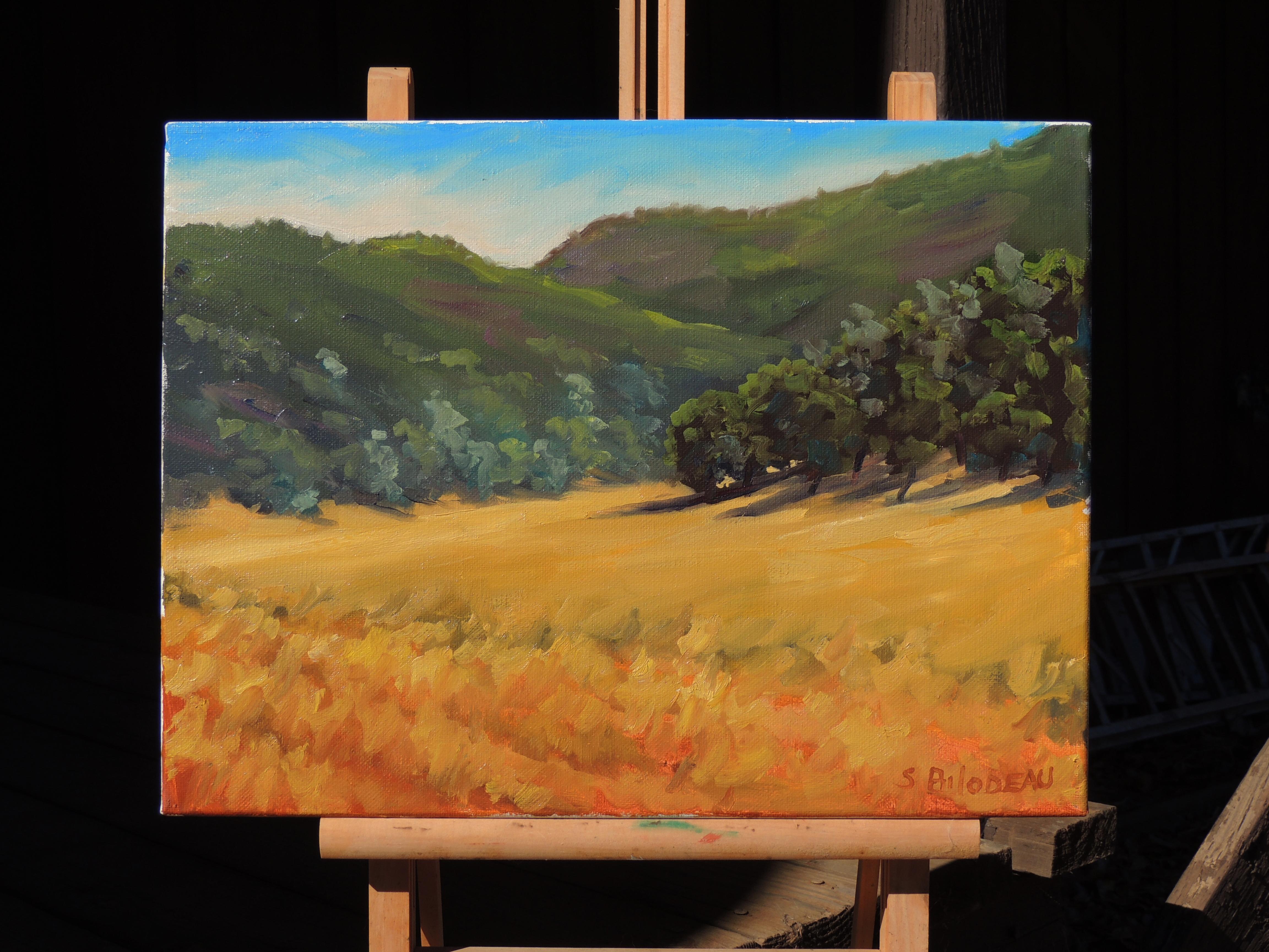 <p>Artist Comments<br> This painting was painted en plein air in Lake County, California. Lake County is a wine growing area that borders Napa County. This painting is on a gallery wrapped canvas with finished edges. It comes ready to hang.