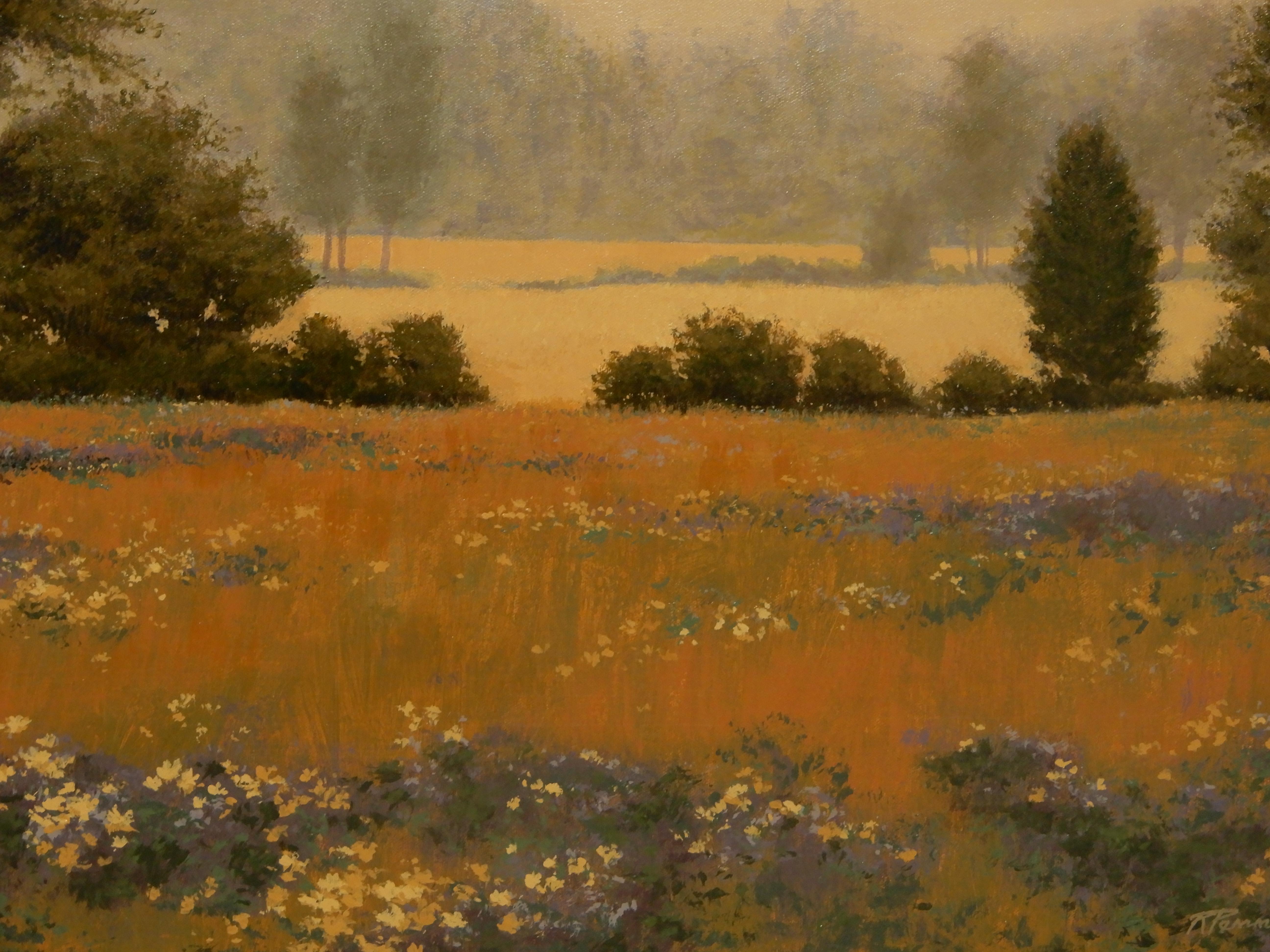 painted meadow