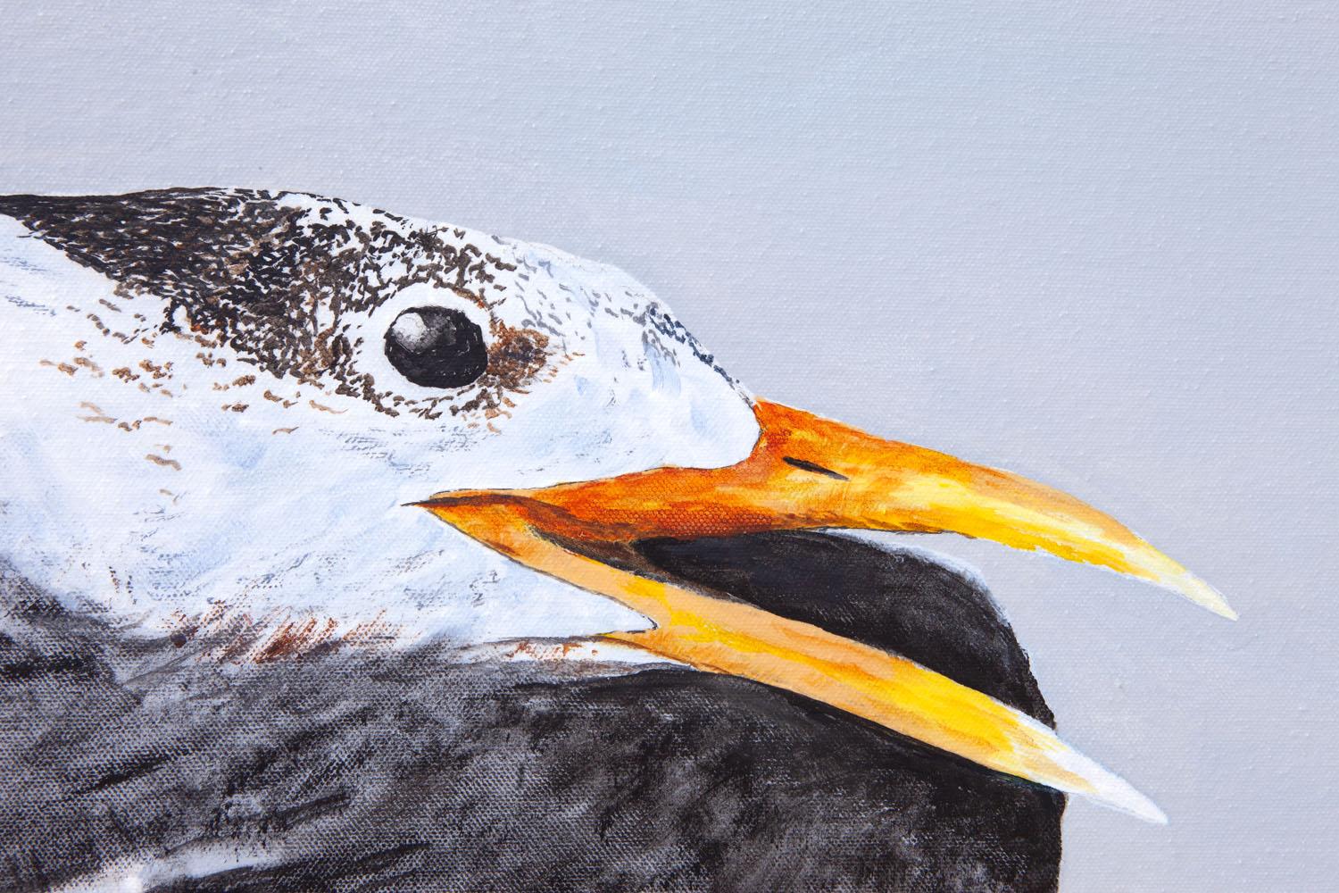 Great Crested Tern #1 - Contemporary Painting by Emil Morhardt